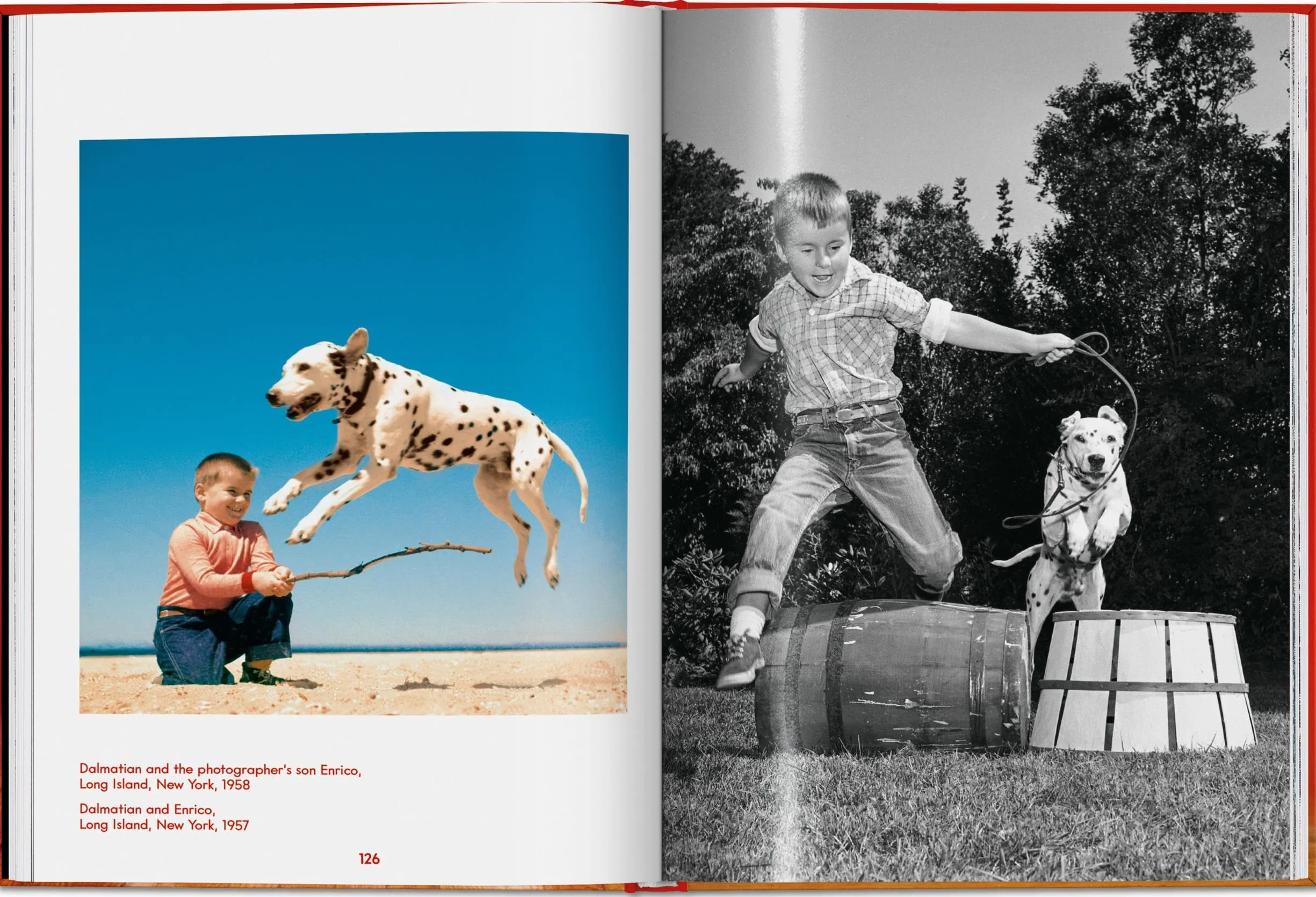 Walter Chandoha. Dogs. Photographs 1941-1991