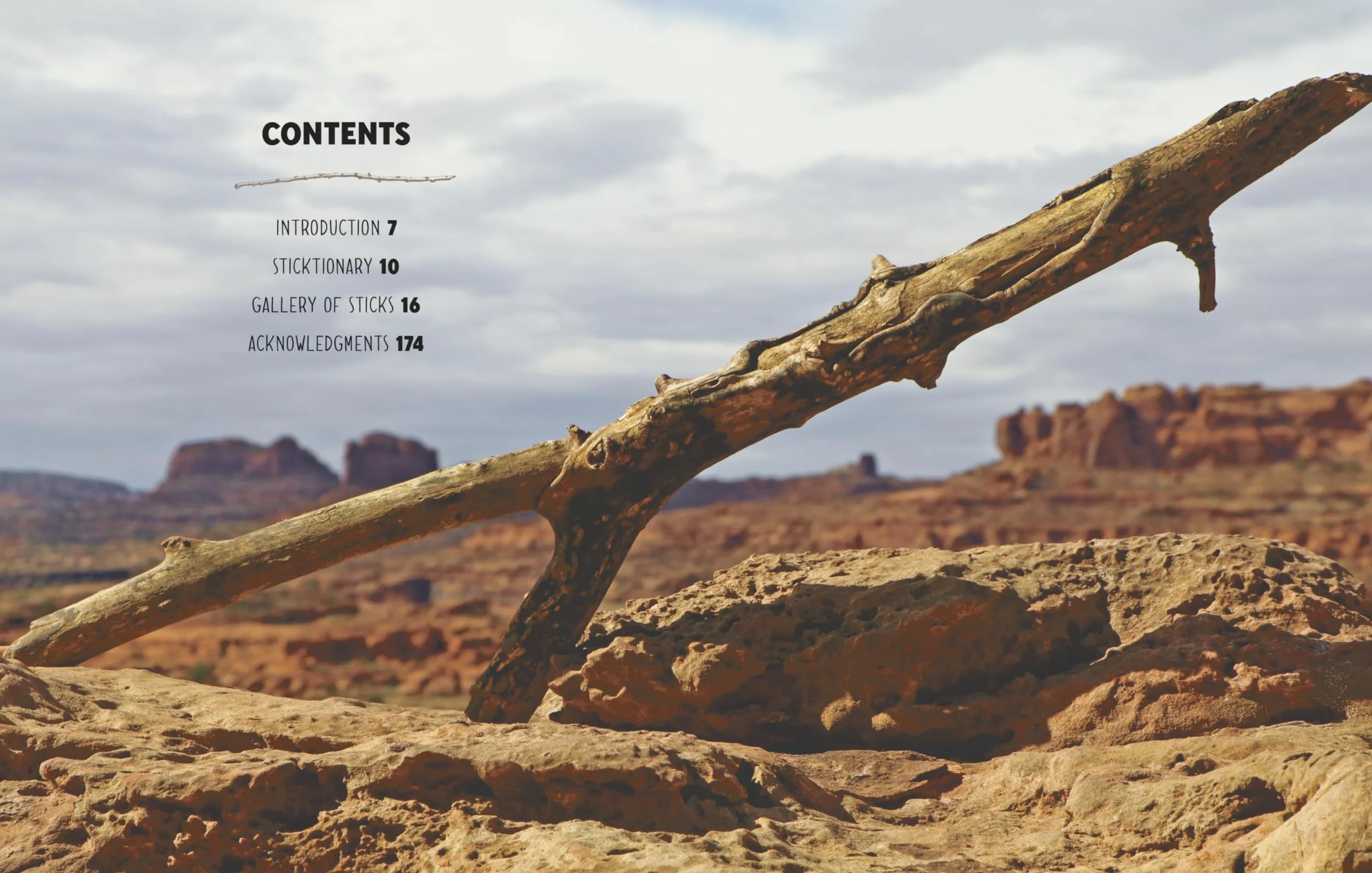 Sticks: A Collection of Sticks & the People Who Love Them, from the Founders of Stick Nation