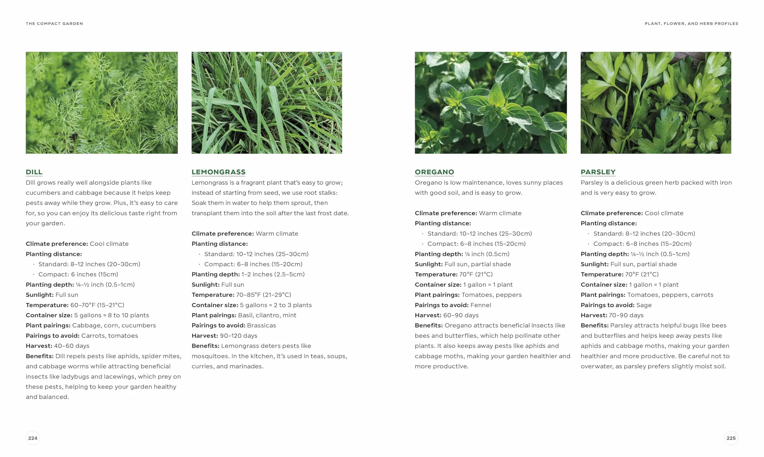 The Compact Garden: A Beginner's Guide to Growing Vegetables in Small Spaces