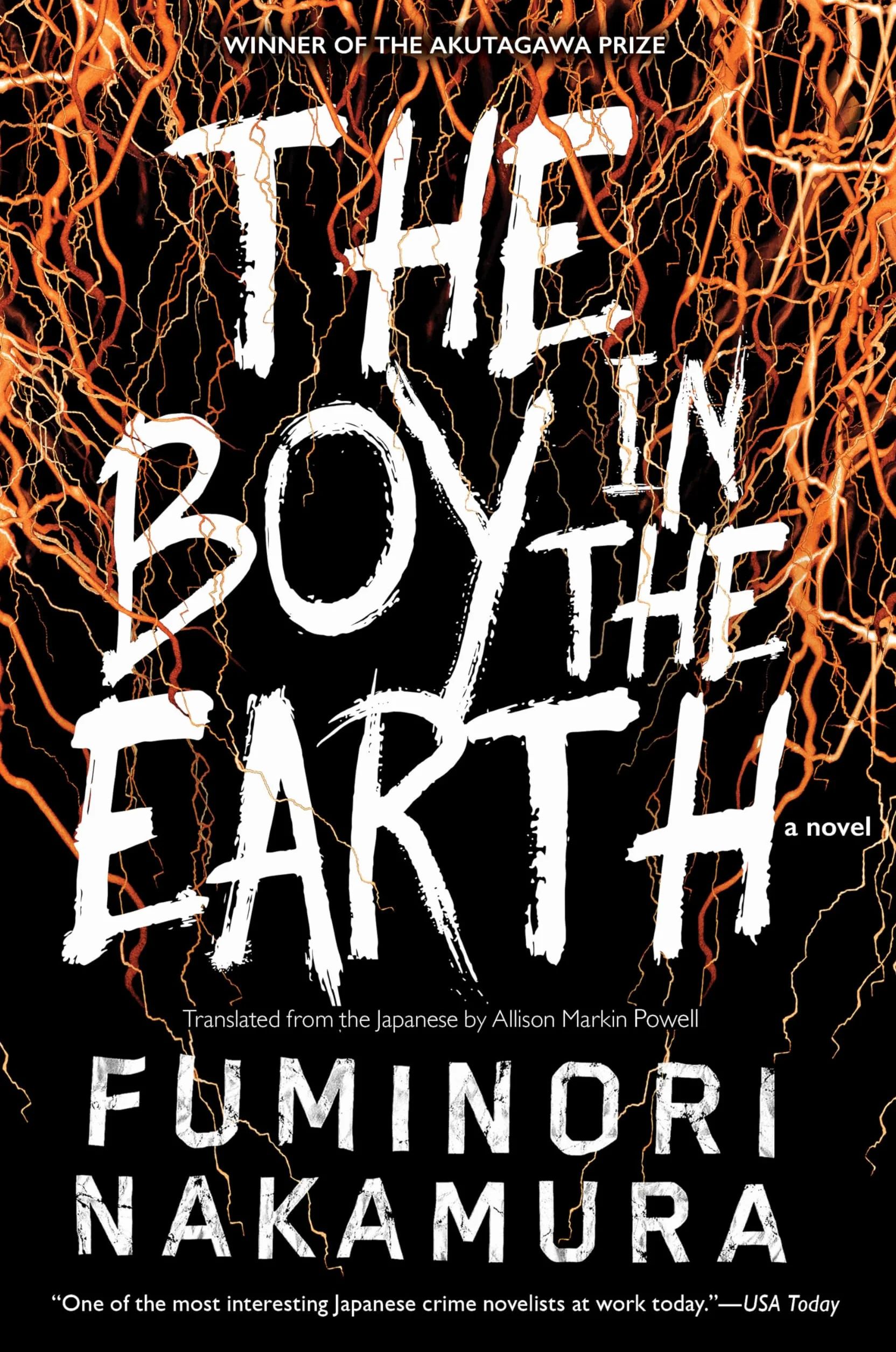 The Boy in the Earth