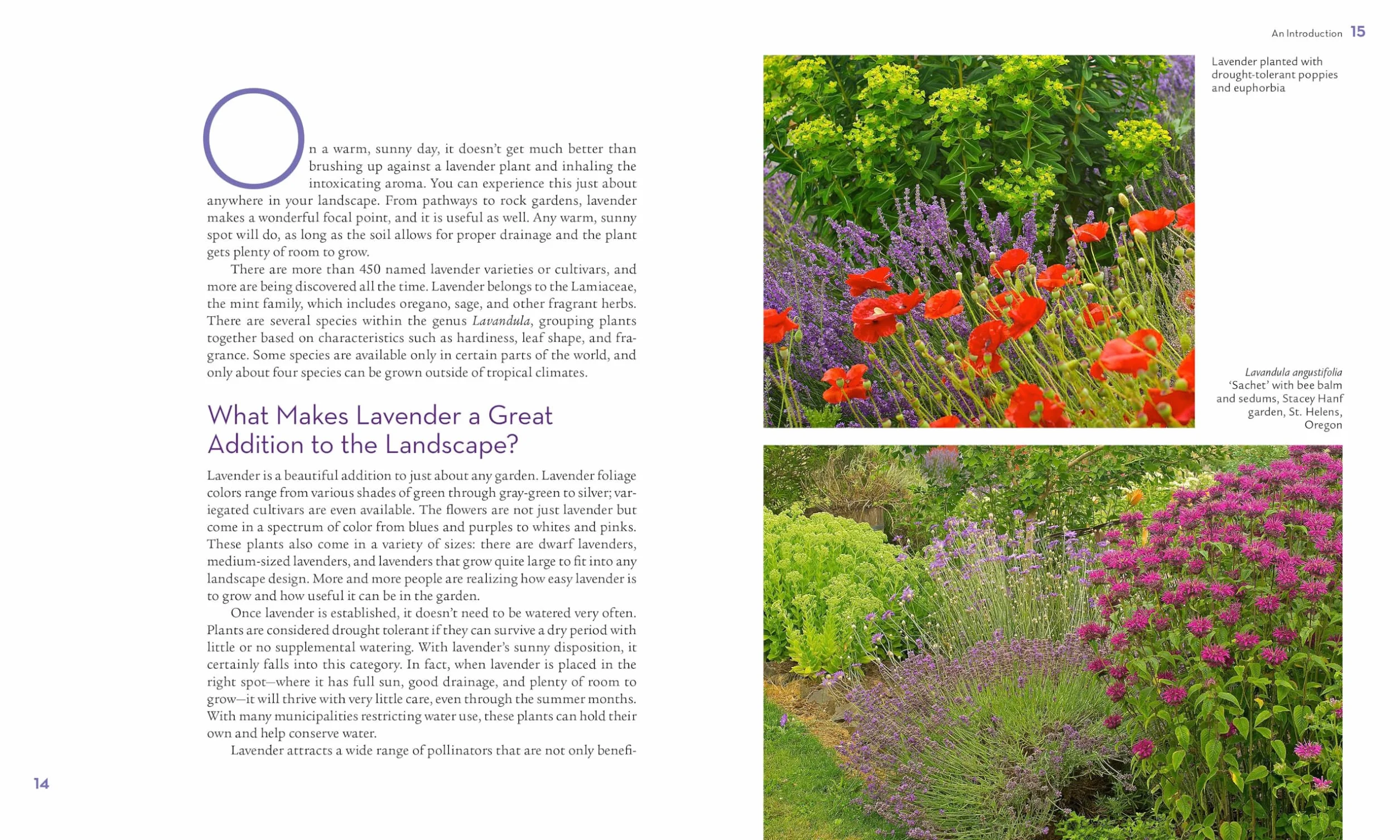 The Lavender Lover's Handbook: The 100 Most Beautiful and Fragrant Varieties for Growing, Crafting, and Cooking