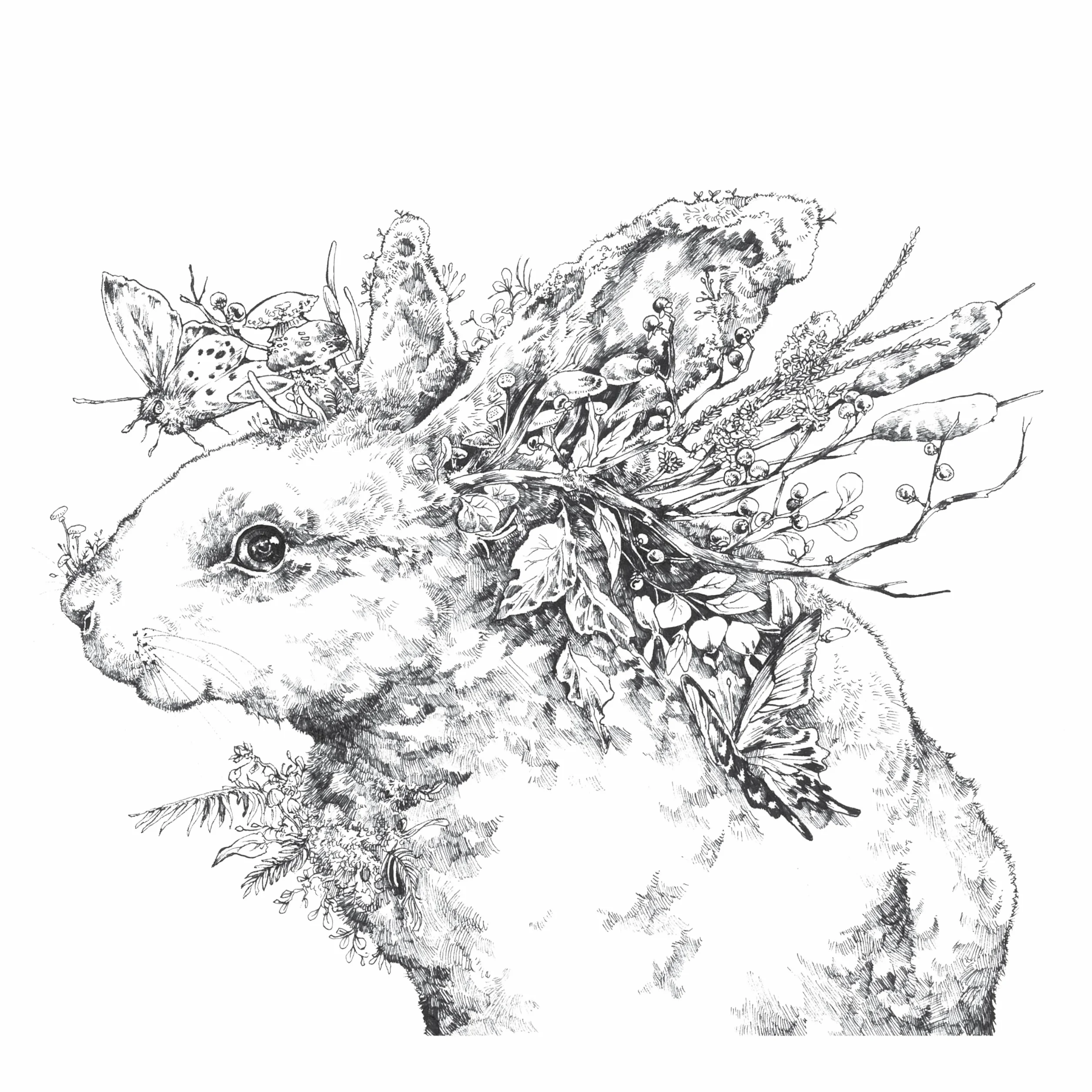 Ecotopia: Color a World of Wonder