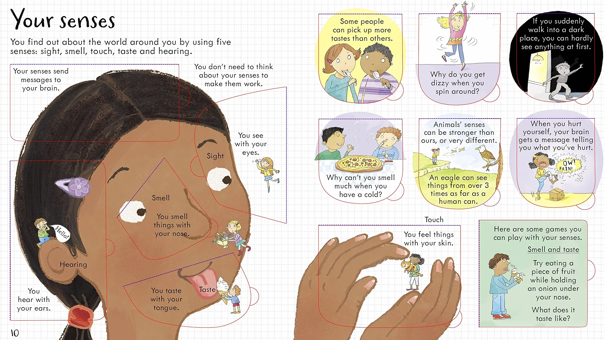 Look Inside Your Body (Look Inside Board Books): 1
