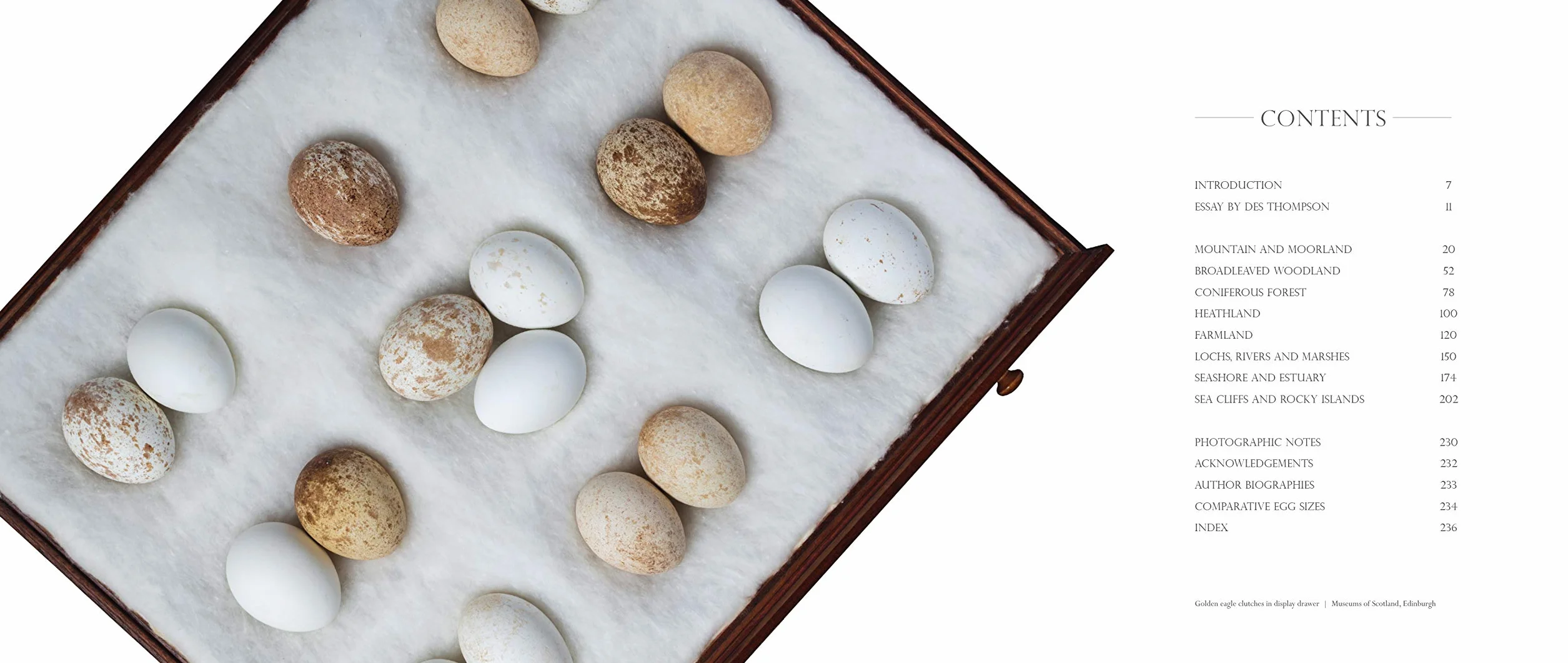 Fragile: Birds, Eggs and Habitats