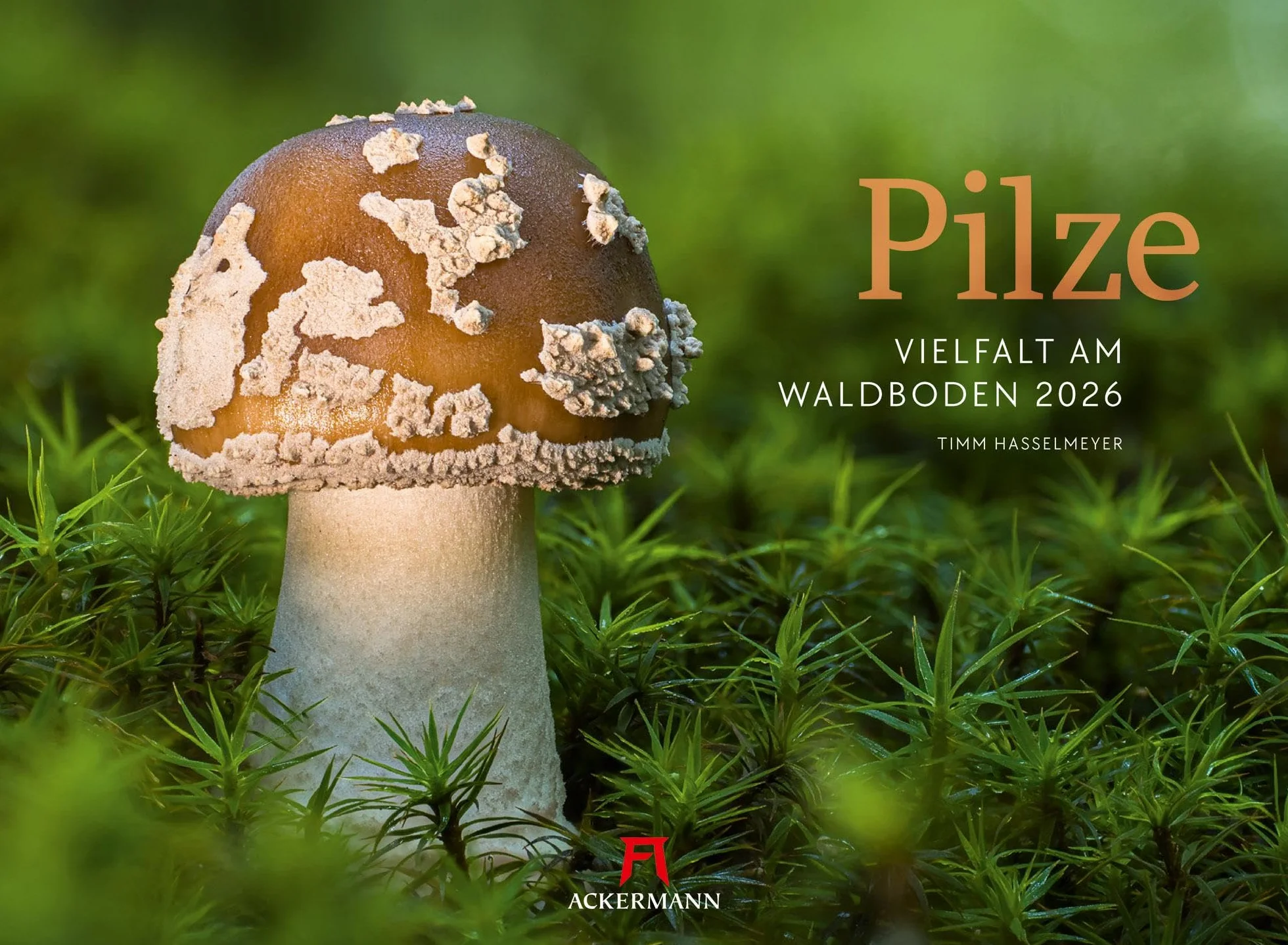 Pilze Kalender 2026 | Vielfalt am Waldboden: Informativer Natur-Kalender im Querformat (45x33 cm) | Mit ausführlichen Bildunterschriften