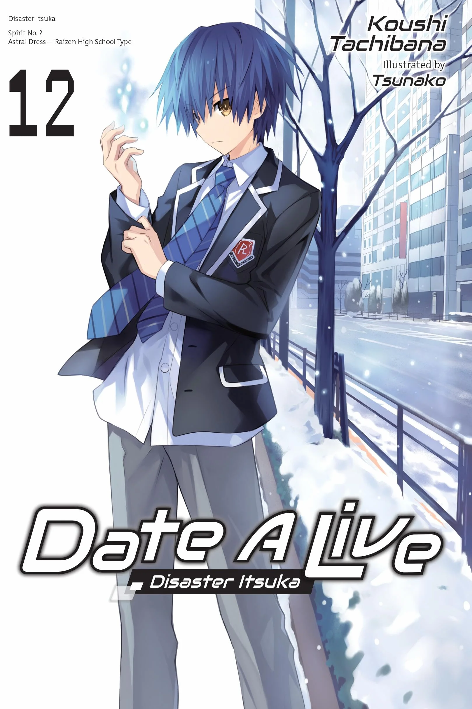 Date a Live, Vol. 12 (Light Novel): Volume 12
