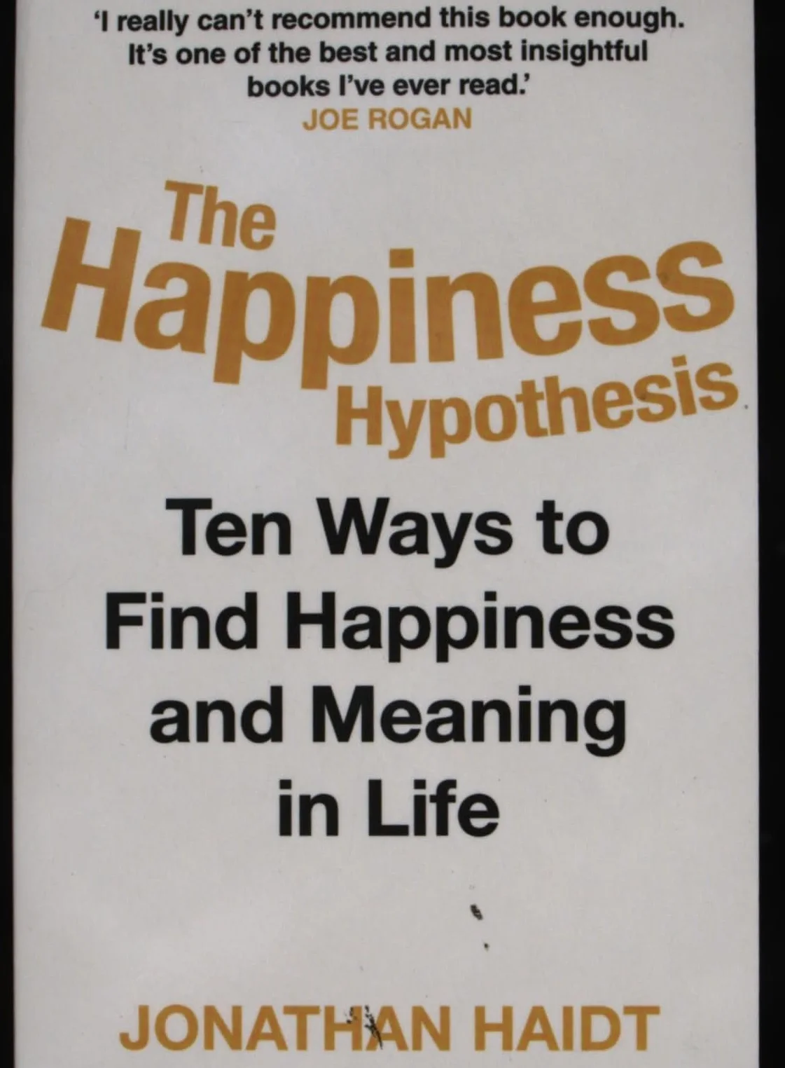 The Happiness Hypothesis: Ten Ways to Find Happiness and Meaning in Life