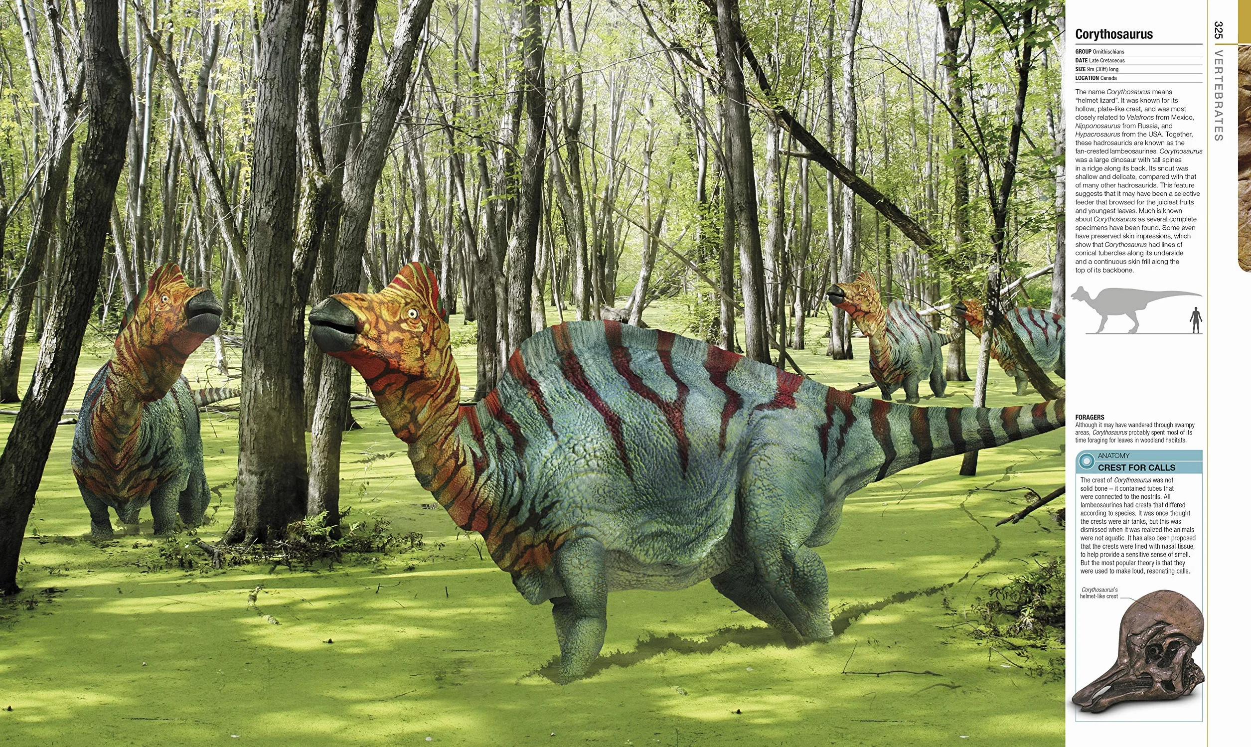 Dinosaurs and Prehistoric Life: Definitive Visual Guide