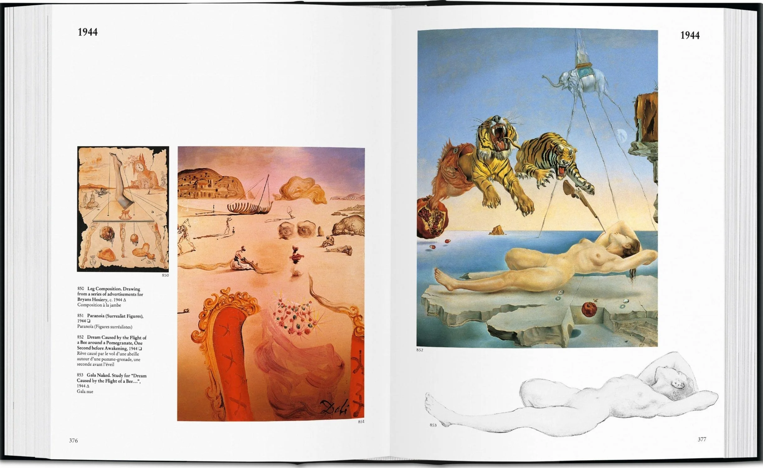 KO-DALI -ANGLAIS-: The Paintings
