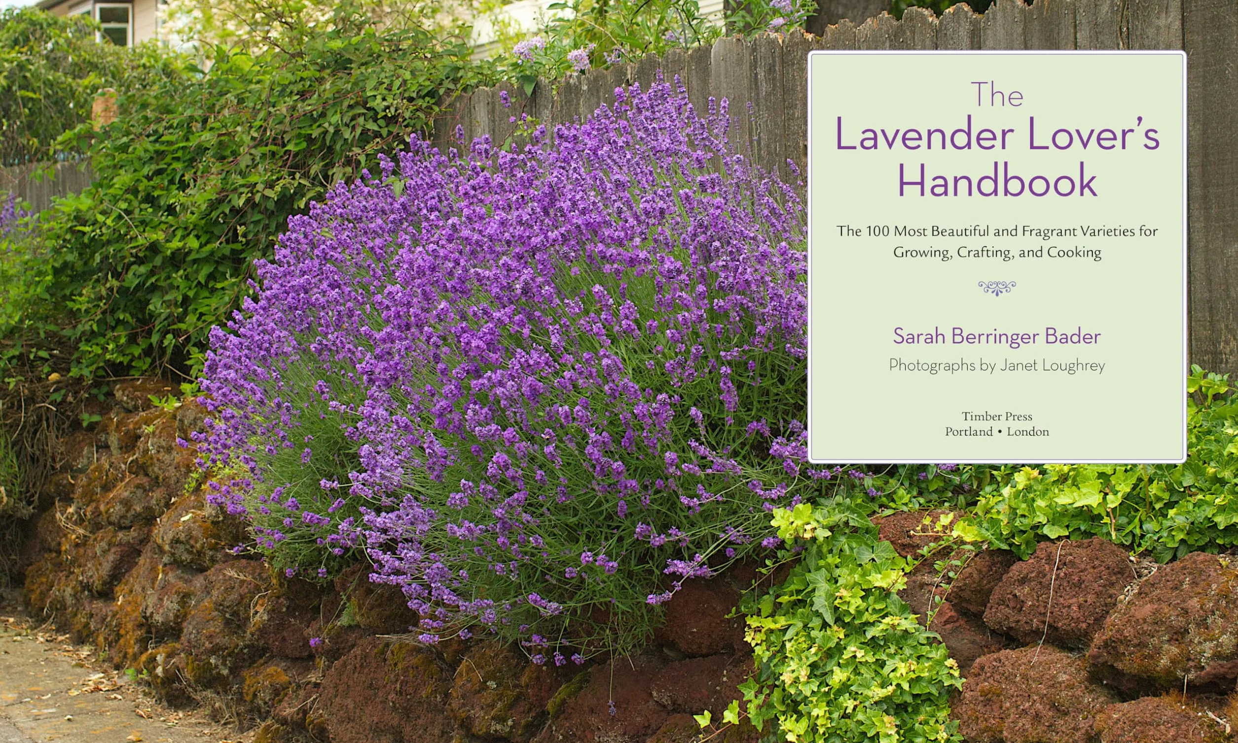 The Lavender Lover's Handbook: The 100 Most Beautiful and Fragrant Varieties for Growing, Crafting, and Cooking