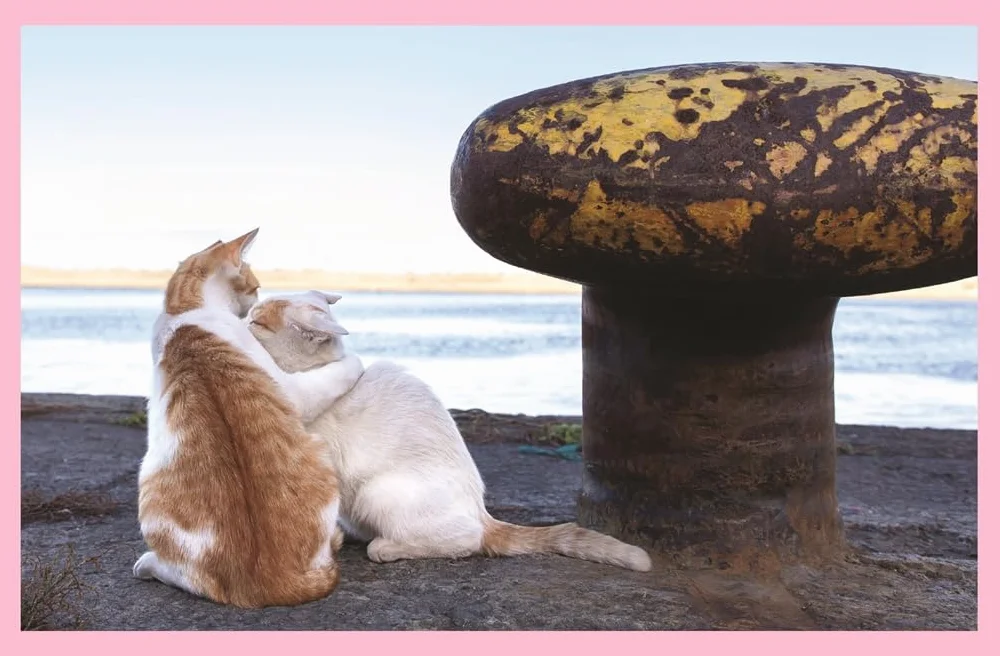 Neko : Cats of Japan /anglais