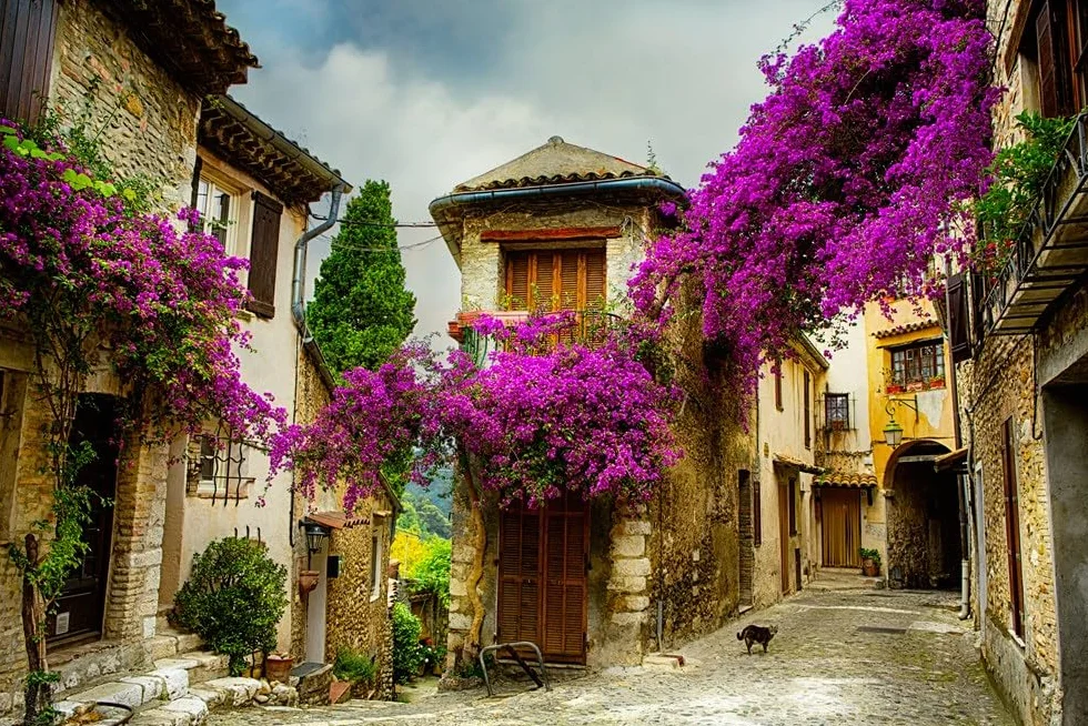 Charming France