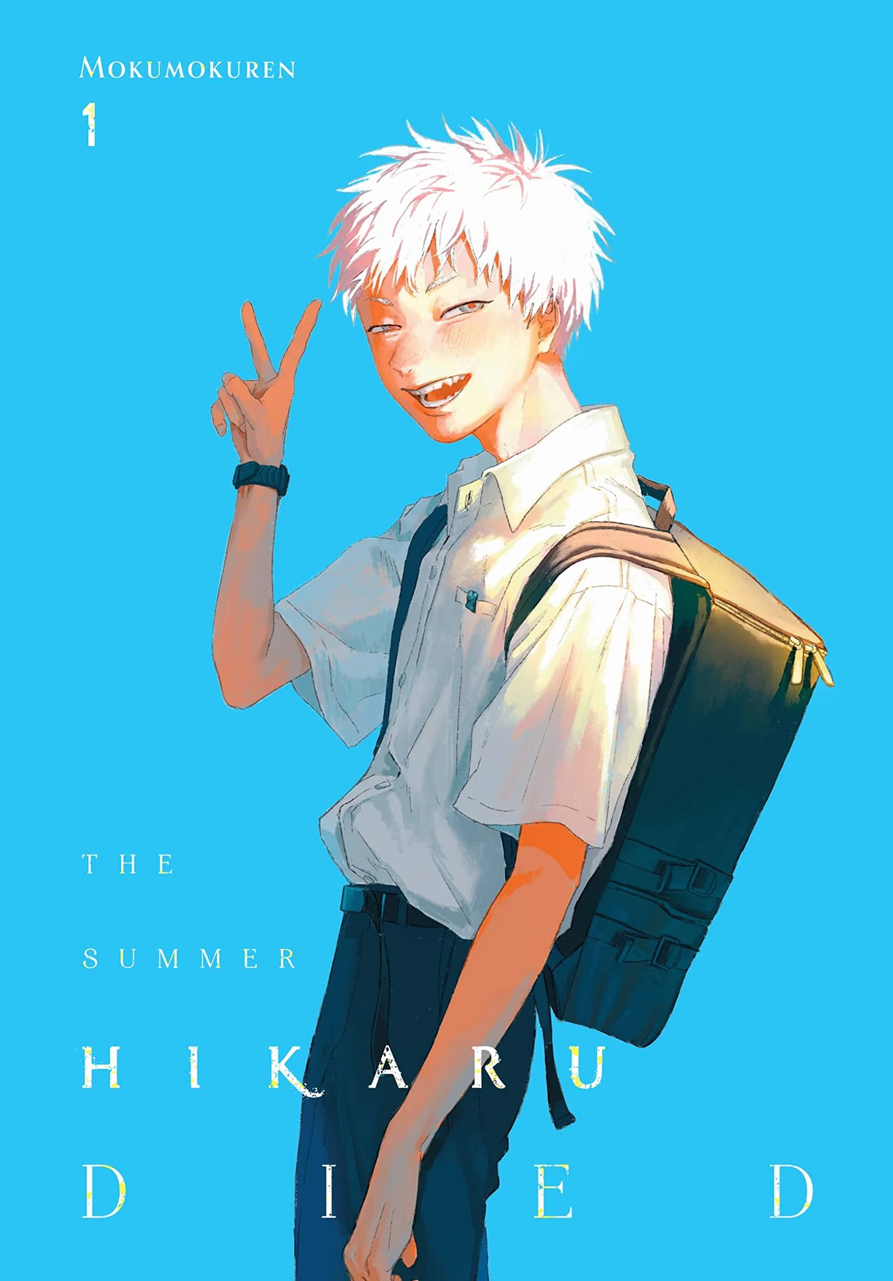The Summer Hikaru Died, Vol. 1: Volume 1