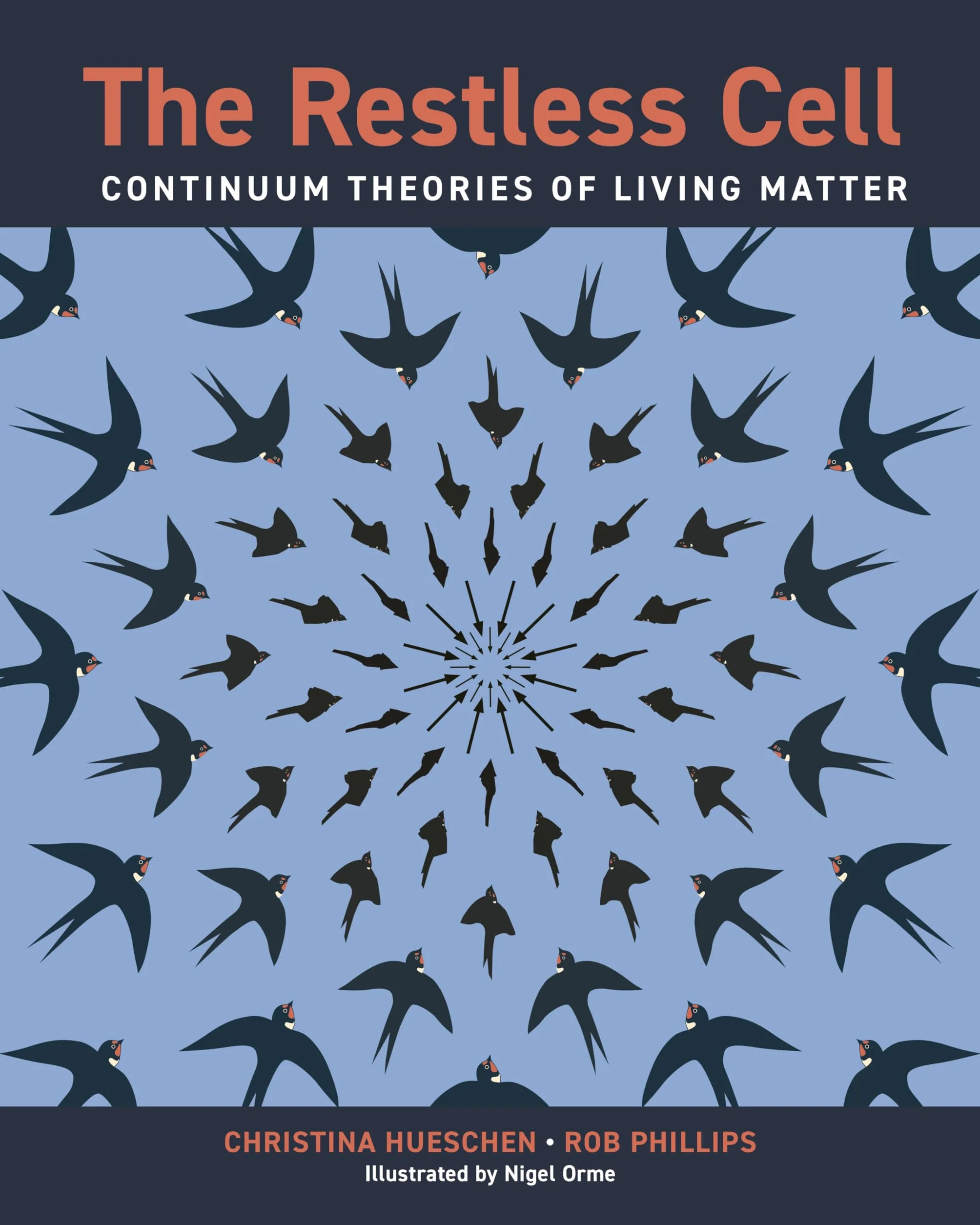 The Restless Cell: Continuum Theories of Living Matter