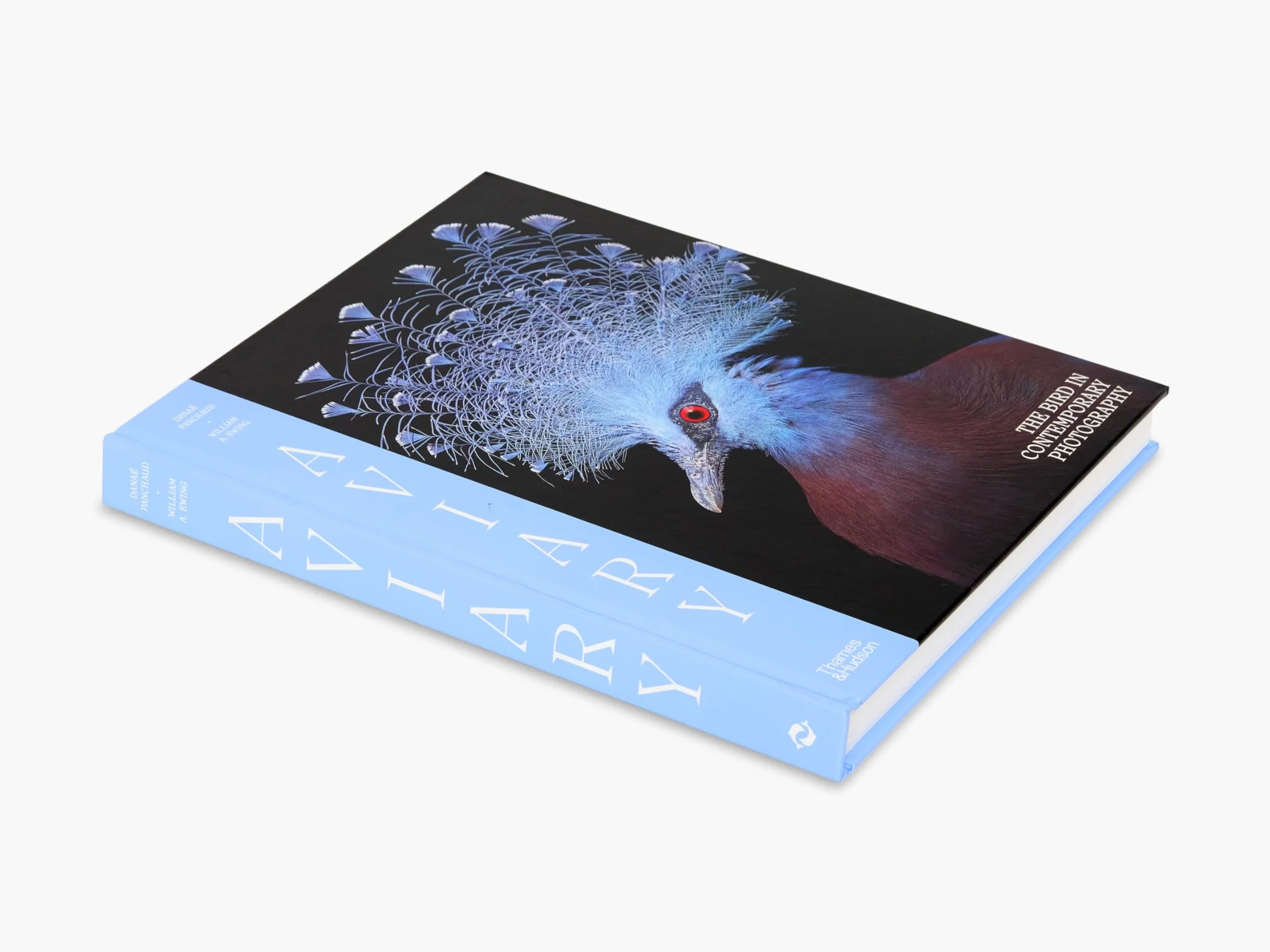 Aviary The Bird in Contemporary Photography /anglais