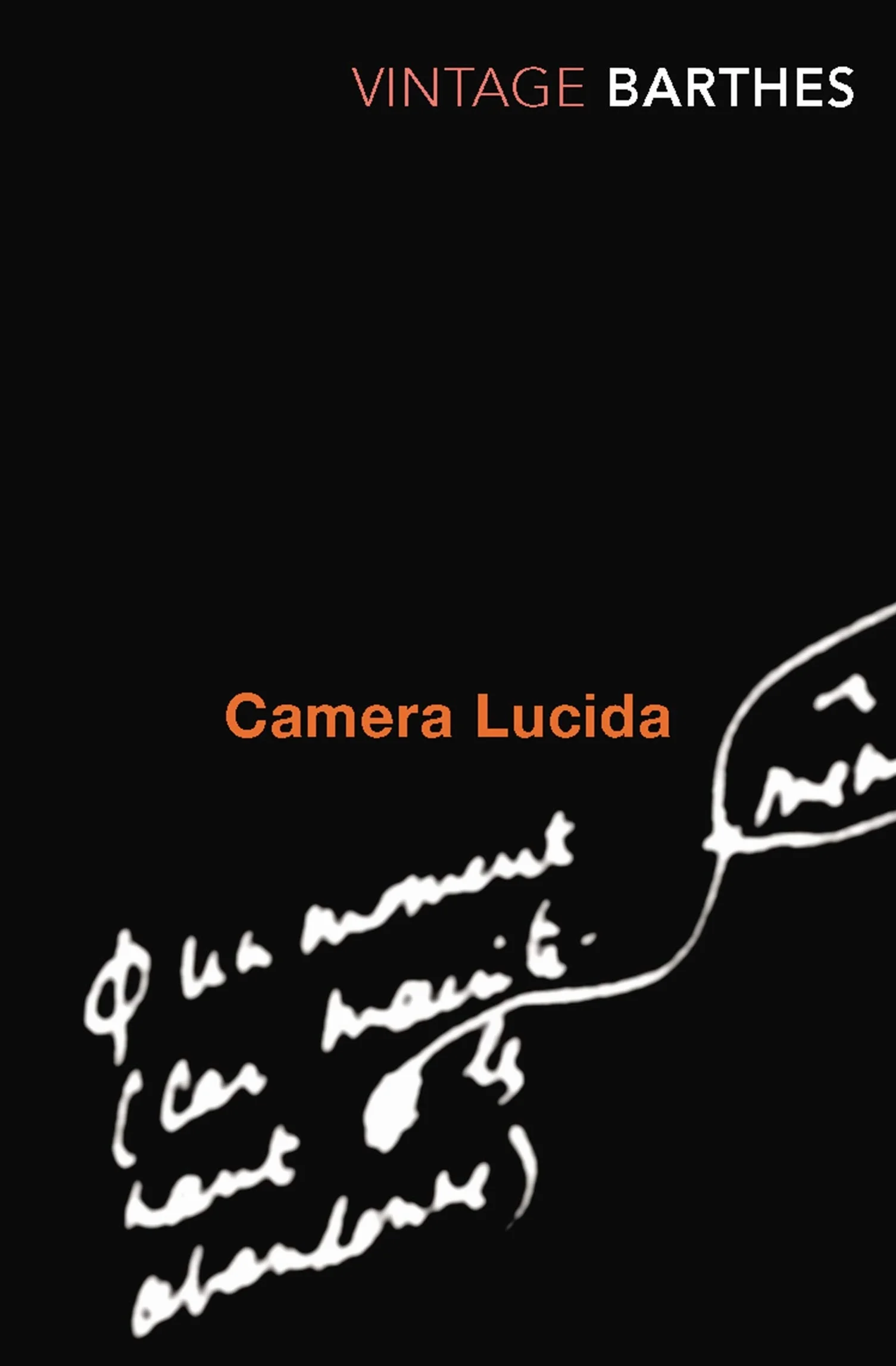 Camera Lucida Reflections on Photography