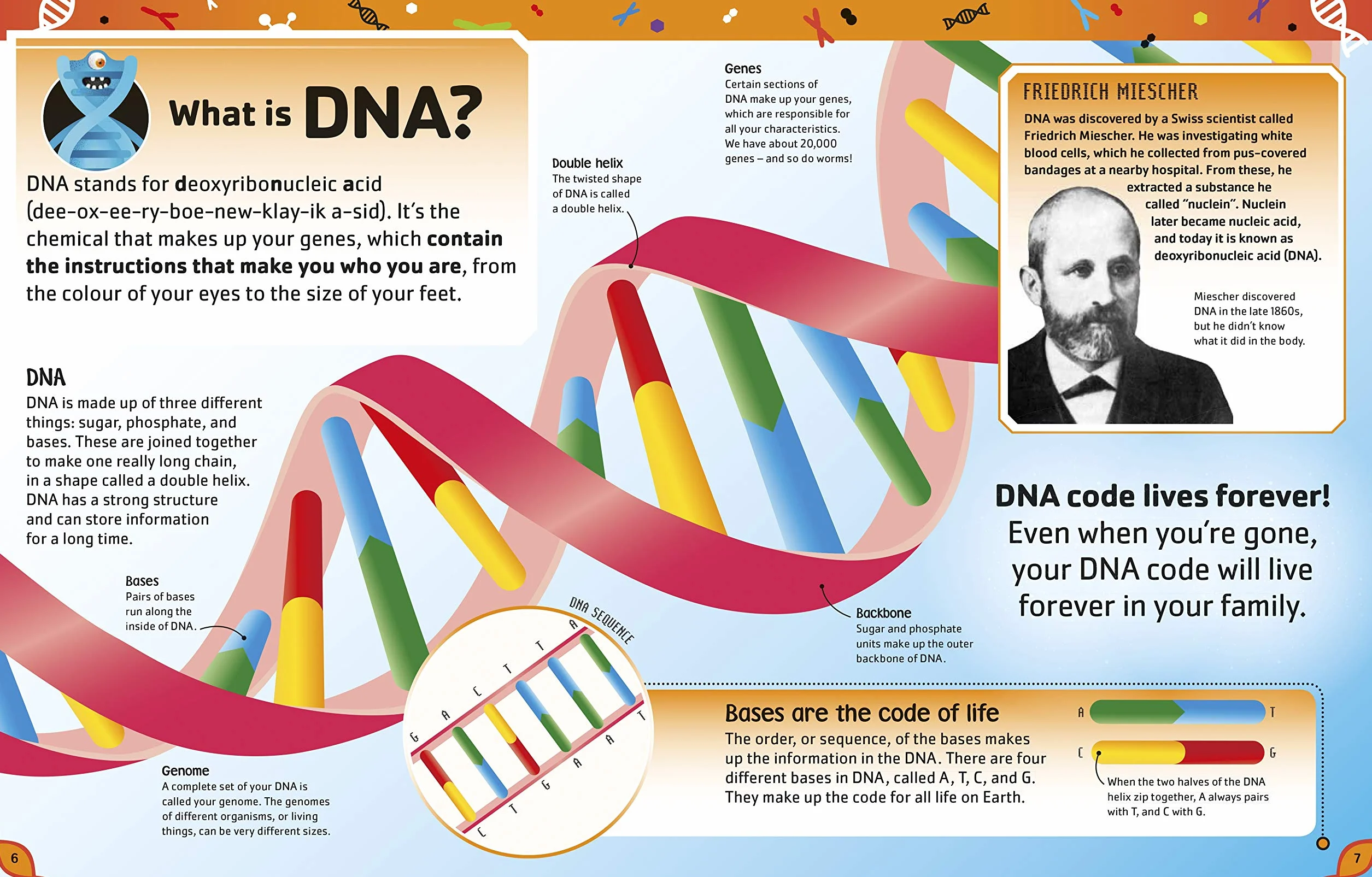 The DNA Book: Discover what makes you you (The Science Book)