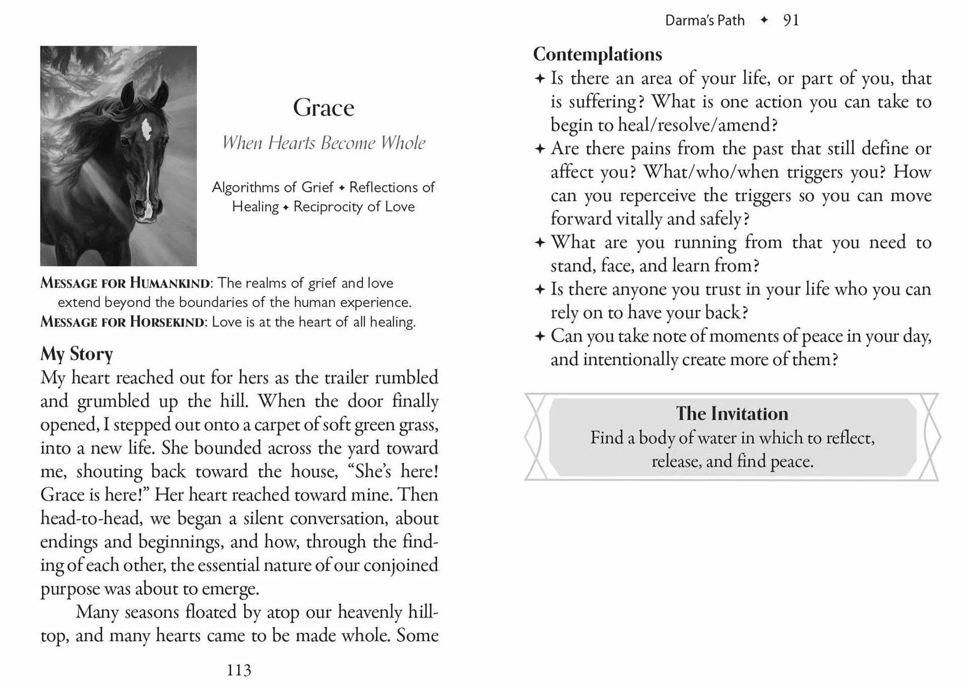 The Council of Horses Oracle: A 40-Card Deck and Guidebook