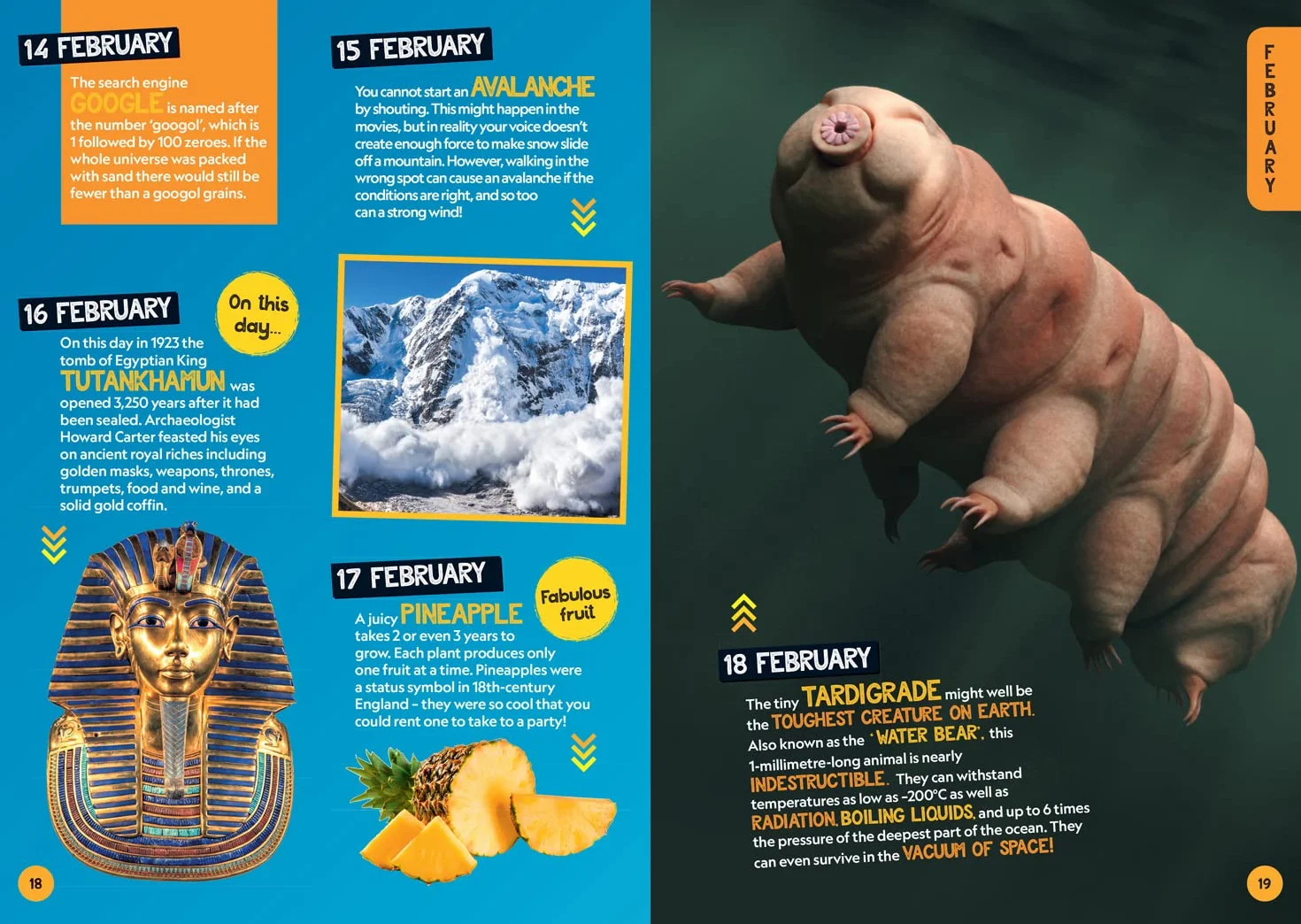 A Fact for Every Day of the Year: 365 facts to make you say WOW!