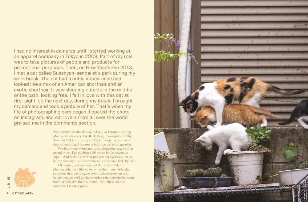 Neko : Cats of Japan /anglais