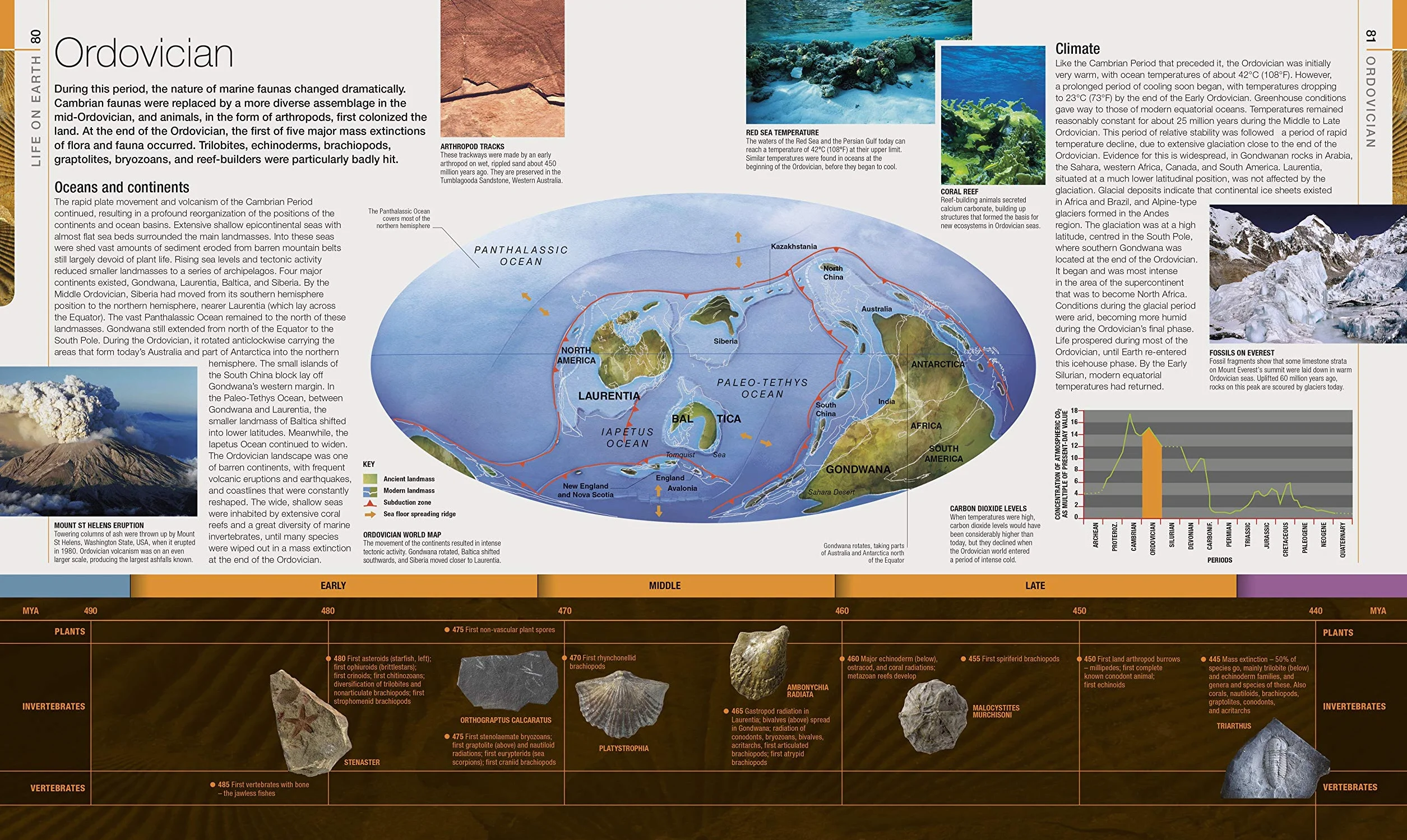Dinosaurs and Prehistoric Life: Definitive Visual Guide