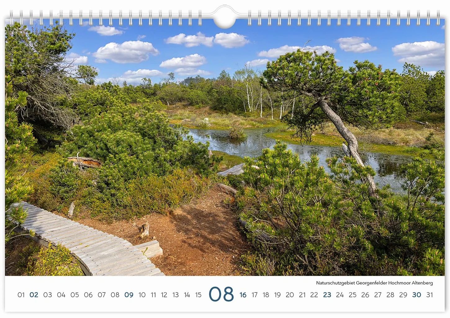 Kalender Sachsen 2026: | 30 x 20 cm | weißes Kalendarium