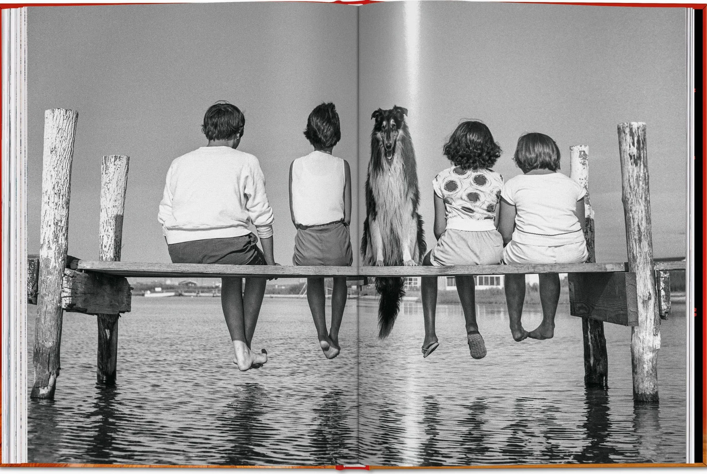 Walter Chandoha. Dogs. Photographs 1941-1991
