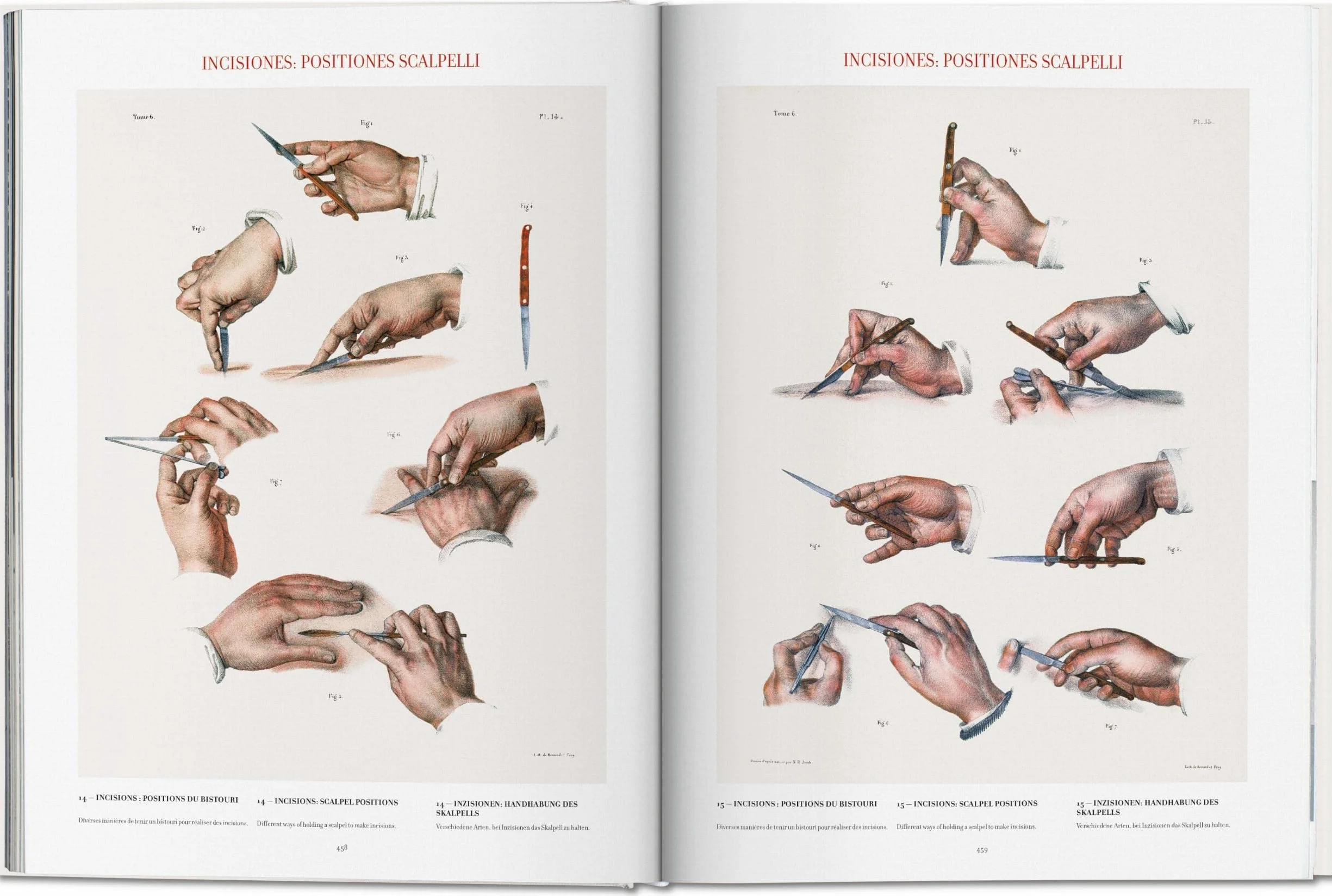 Bourgery. Atlas of Human Anatomy and Surgery