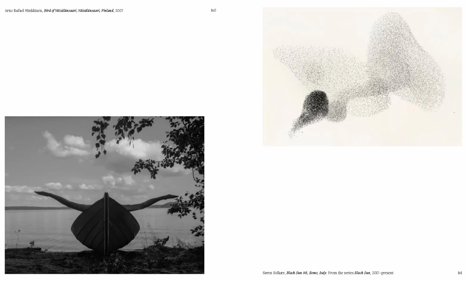 Aviary The Bird in Contemporary Photography /anglais