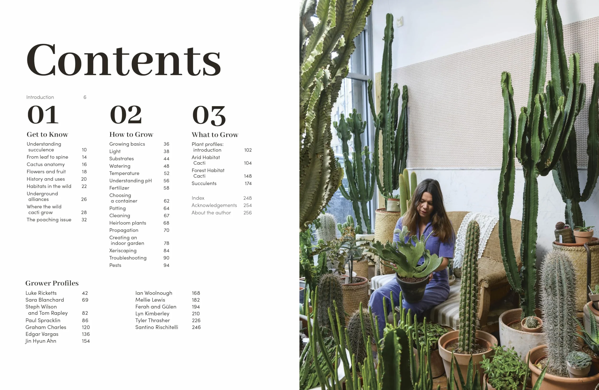 Cacti and Succulents: The Plant Rescuer's On-point Advice to Keep Your Plants Looking Sharp