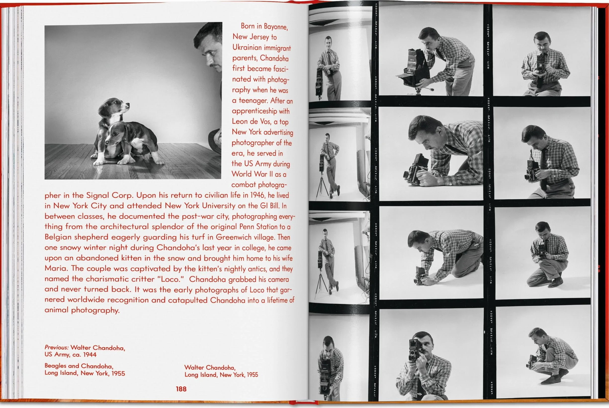 Walter Chandoha. Dogs. Photographs 1941-1991