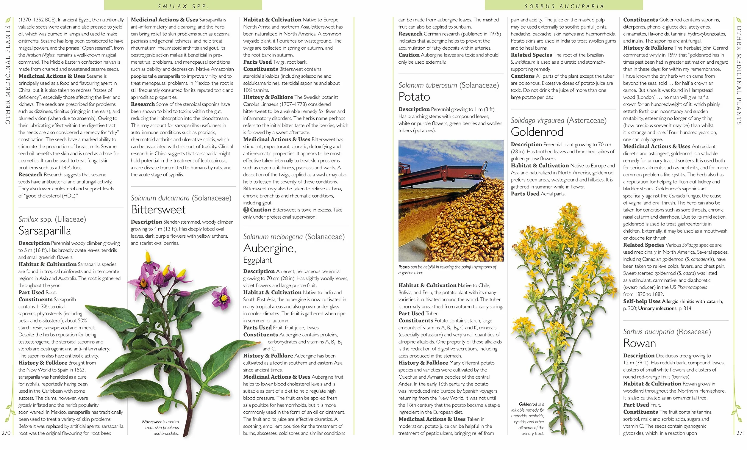 Encyclopedia Of Herbal Medicine: 550 Herbs and Remedies for Common Ailments
