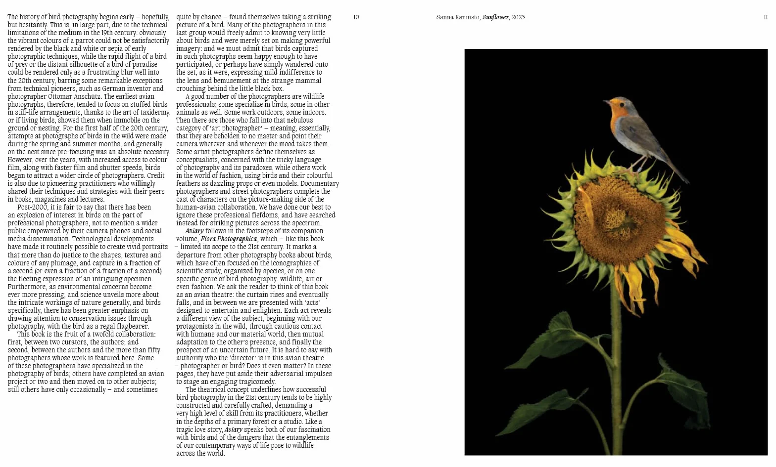 Aviary The Bird in Contemporary Photography /anglais