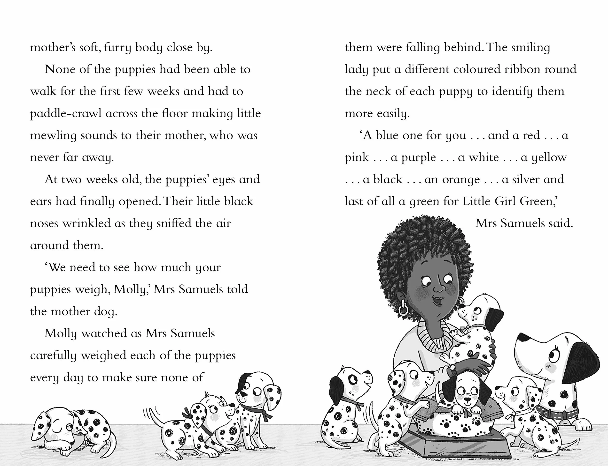 Lizzie and Lucky: The Mystery of the Missing Puppies
