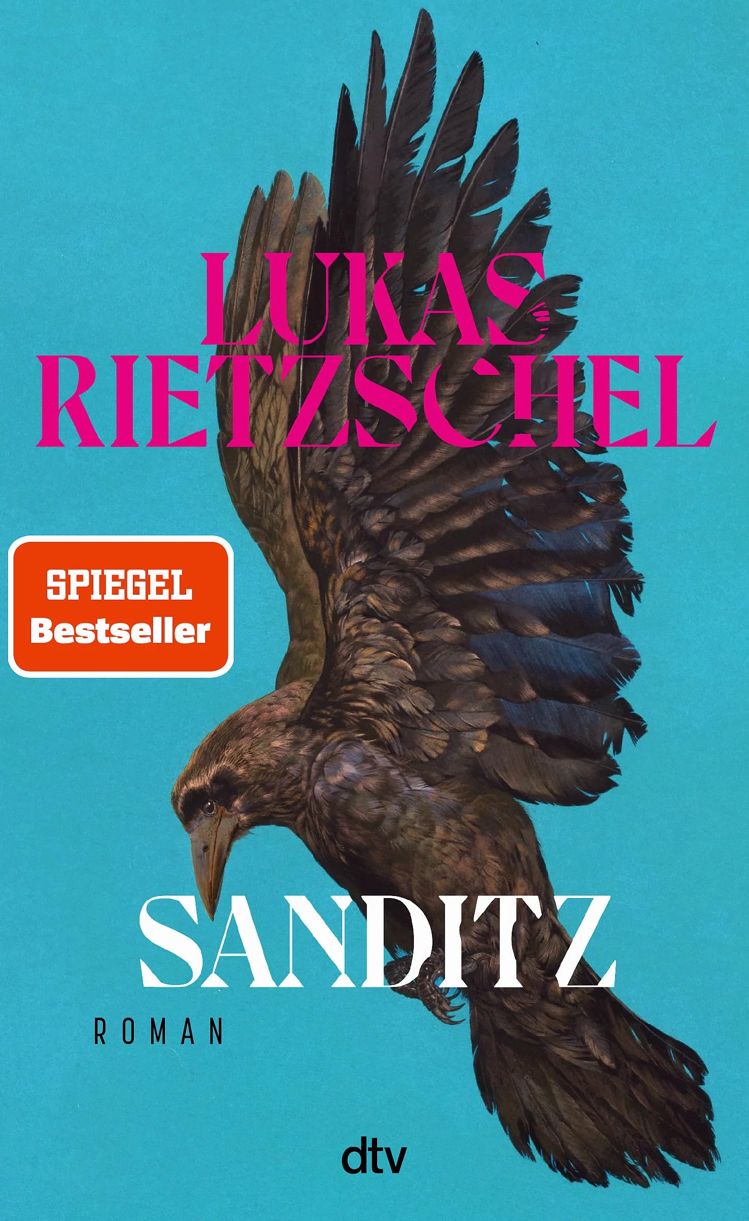 Sanditz: Roman | Das große Epos der Nachwendezeit: 'Rietzschel ist eine der wichtigsten jungen Stimmen Ostdeutschlands.' Frankfurter Allgemeine Zeitung