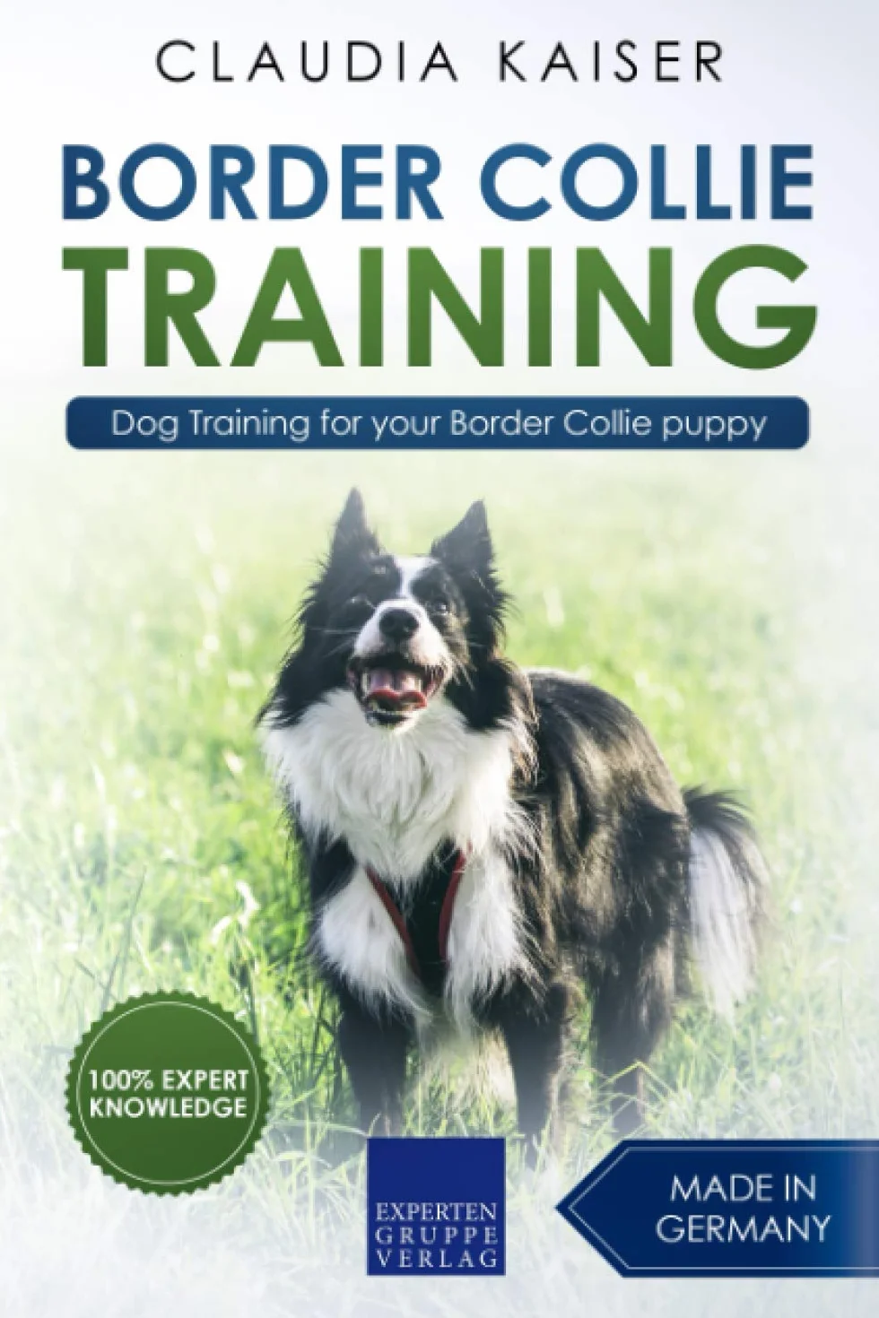 Border Collie Training: Dog Training for your Border Collie puppy