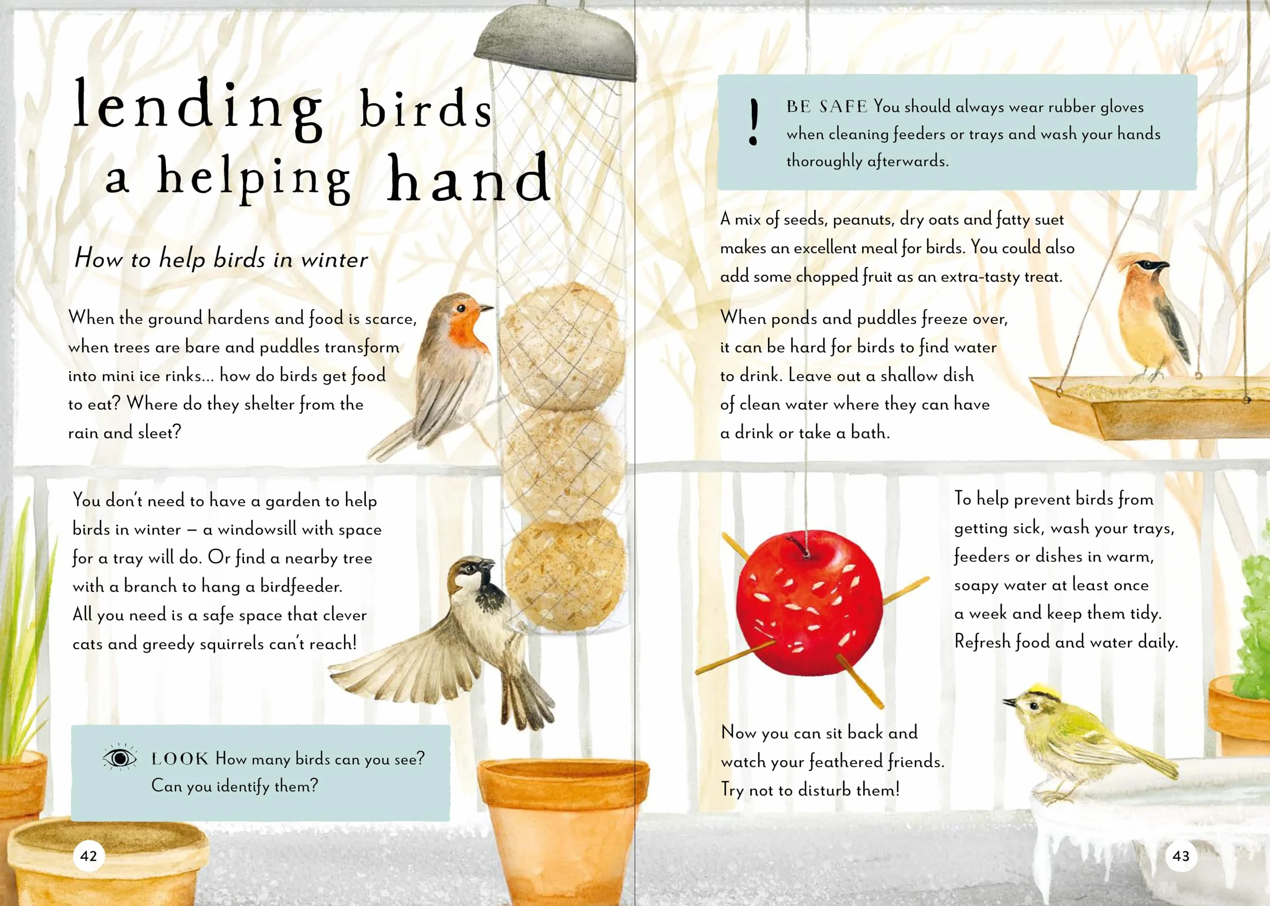 A Field Guide to Winter: Play and learn in nature /anglais: 4