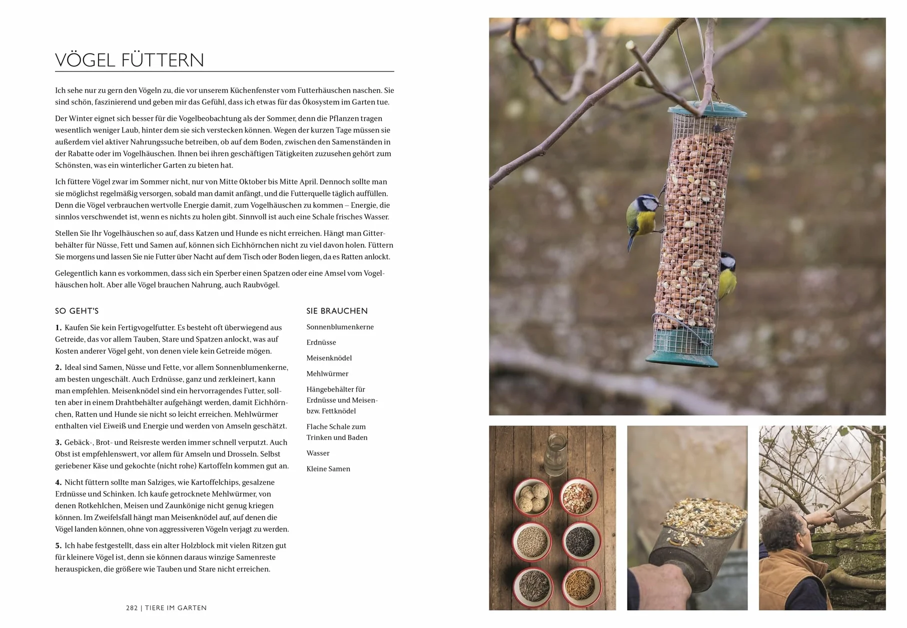 Das Gartenbuch: Umfassendes Expertenwissen für einen wunderschönen Zier- und Nutzgarten mit saisonalem Obst und Gemüse von Bestsellerautor Monty Don