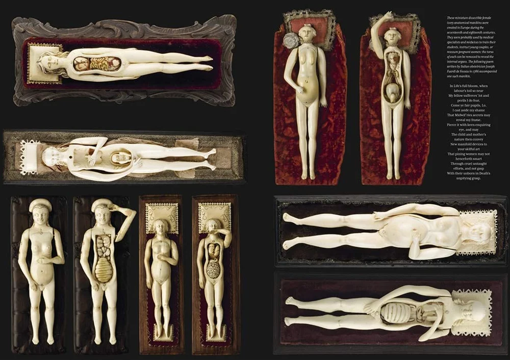 The Anatomical Venus /anglais: Wax / Sex / God / Death