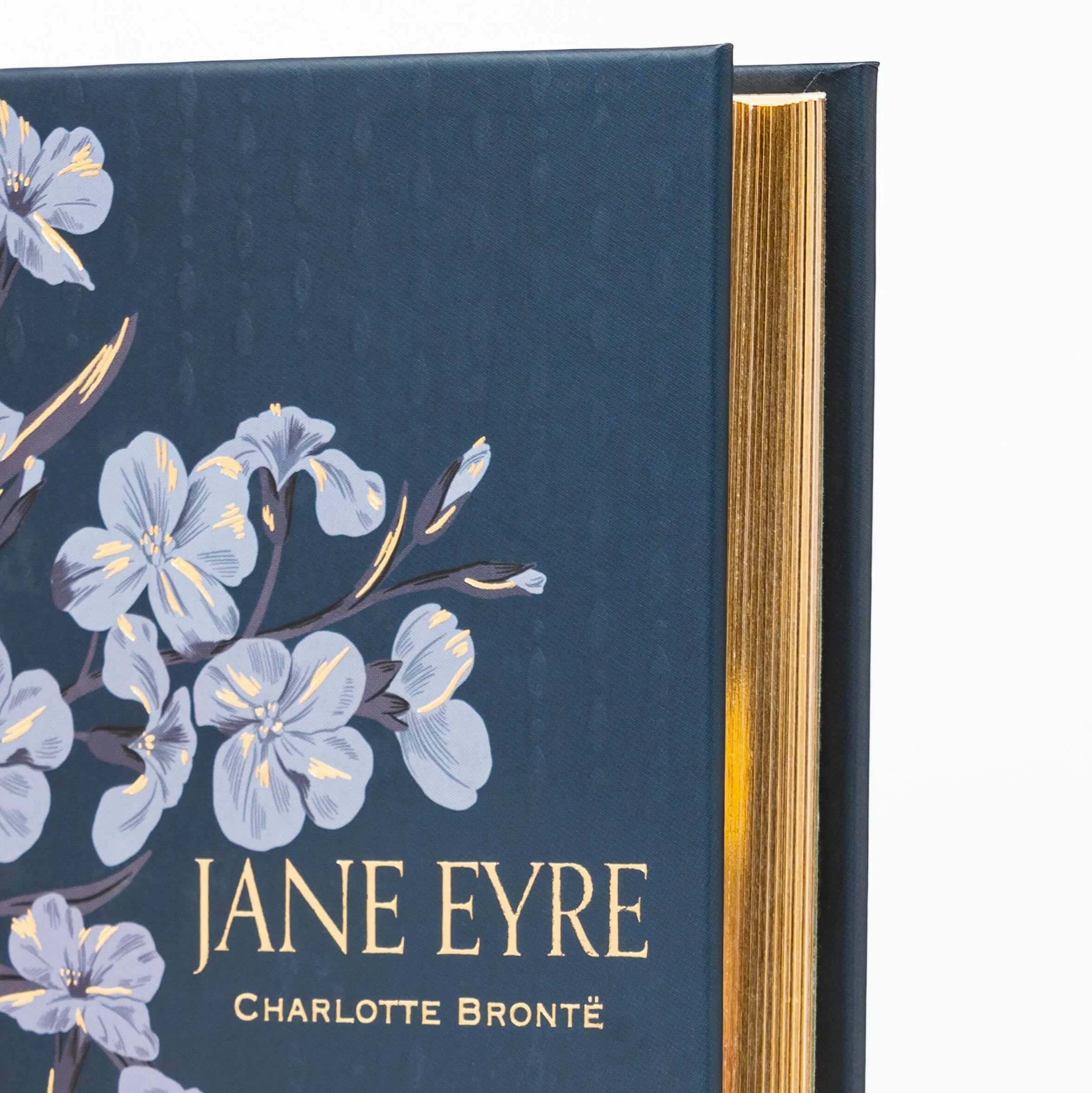 Jane Eyre (Special Edition)