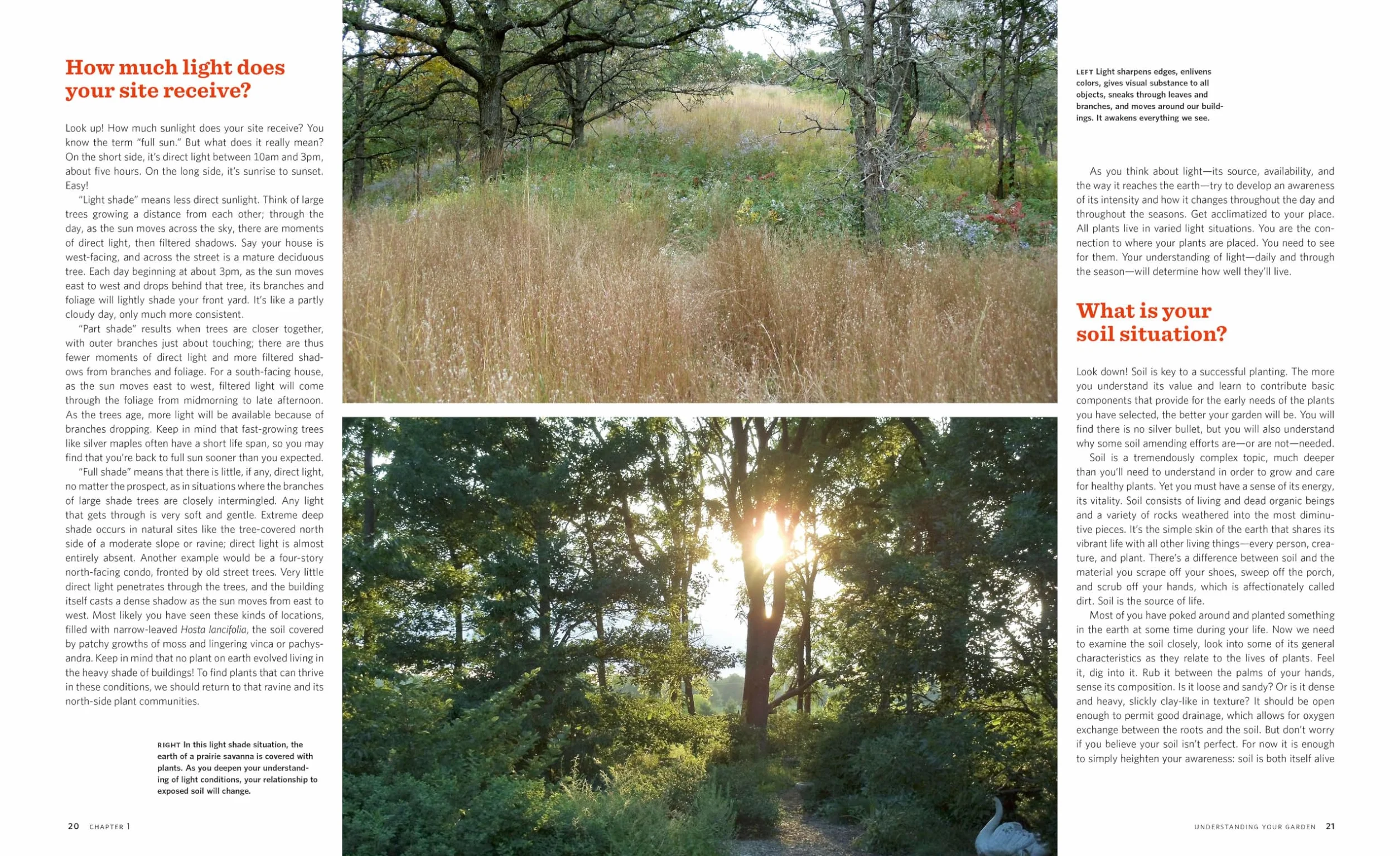 The Know Maintenance Perennial Garden