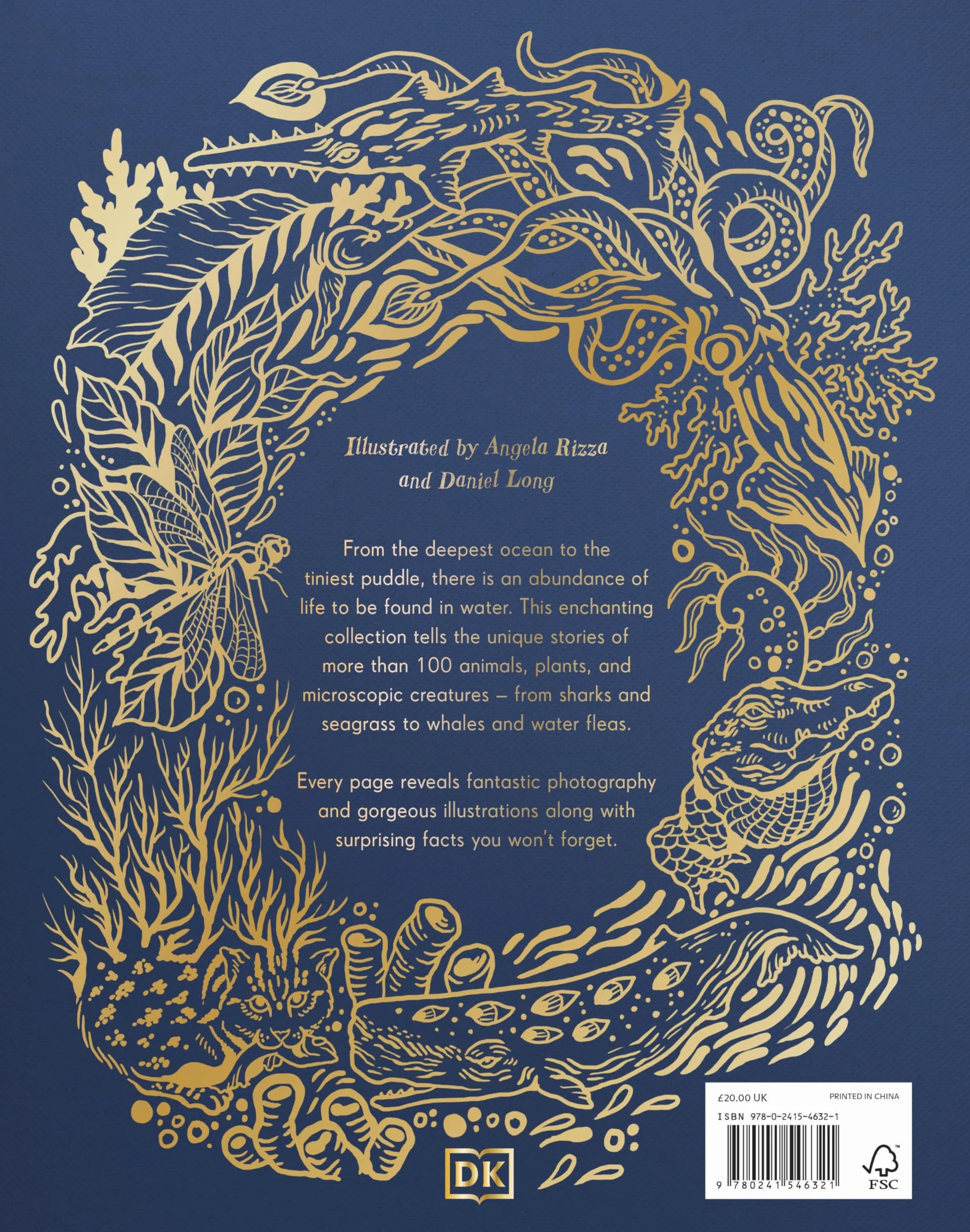 An Anthology of Aquatic Life: Discover the Secret Lives Under the Sea