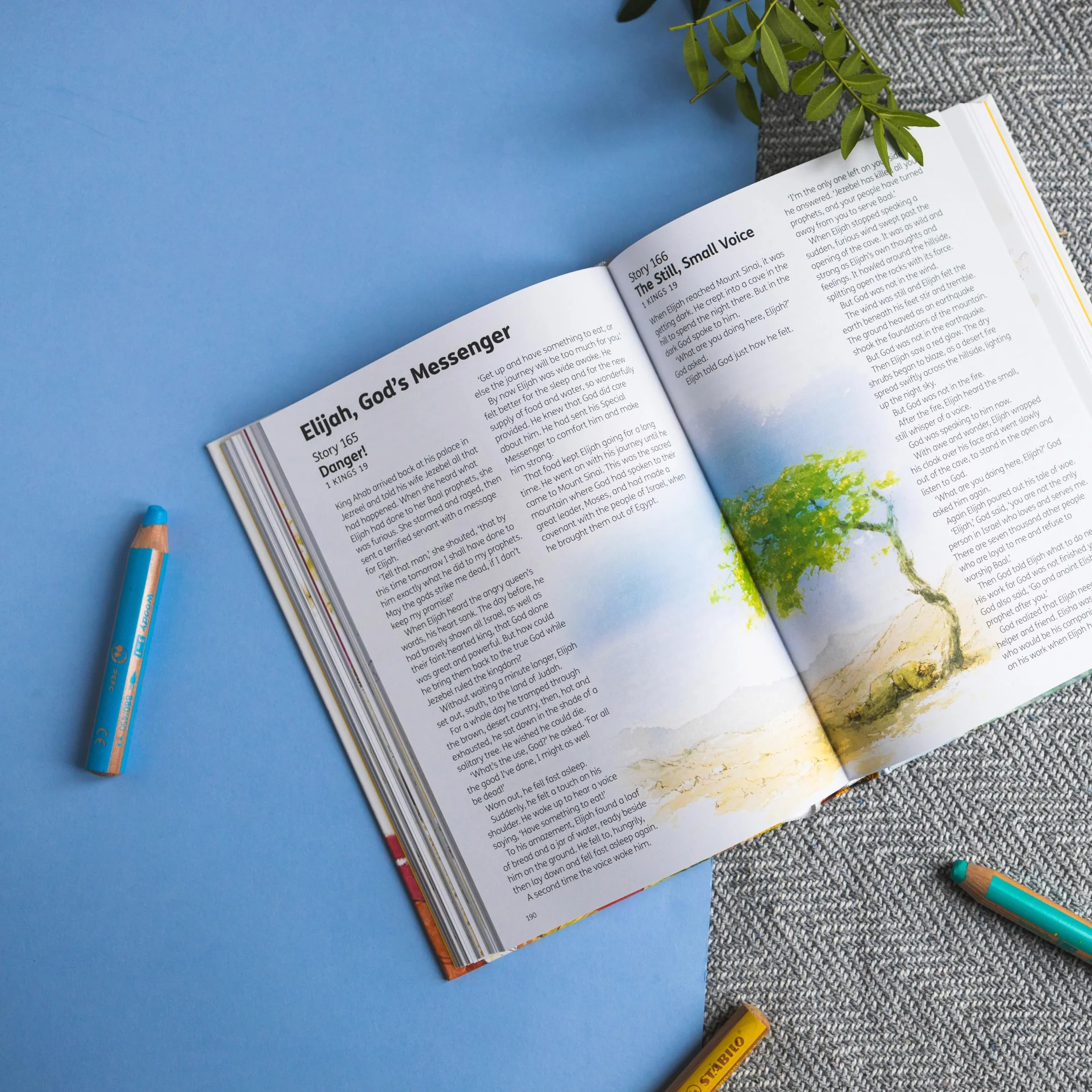 The Children's Bible in 365 Stories: A story for every day of the year