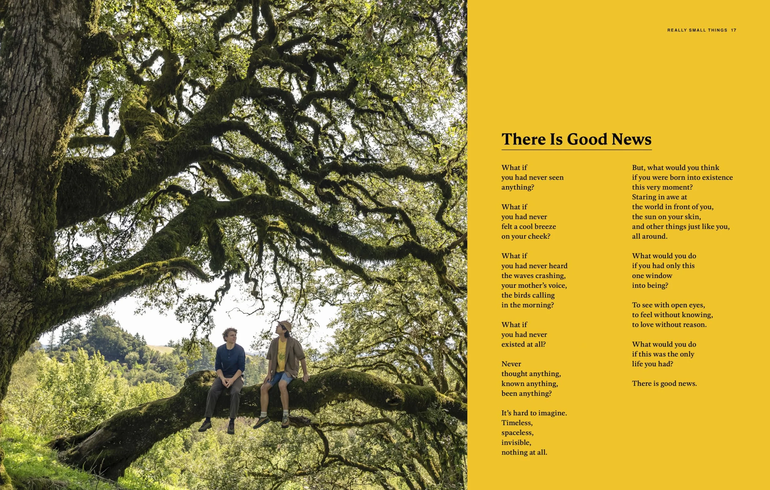 We Love You: An Optimistic Guide to Life on a Rock Floating Through Space
