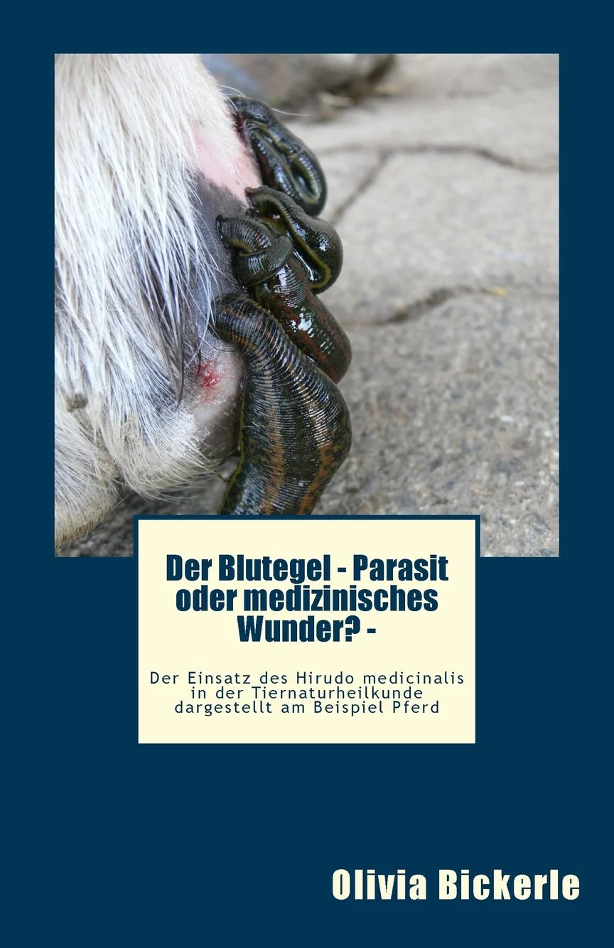 Der Blutegel: Parasit Oder Medizinisches Wunder? - Der Einsatz Des Hirudo Medicinalis in Der Tiernaturheilkunde Dargestellt Am Beispiel Pferd