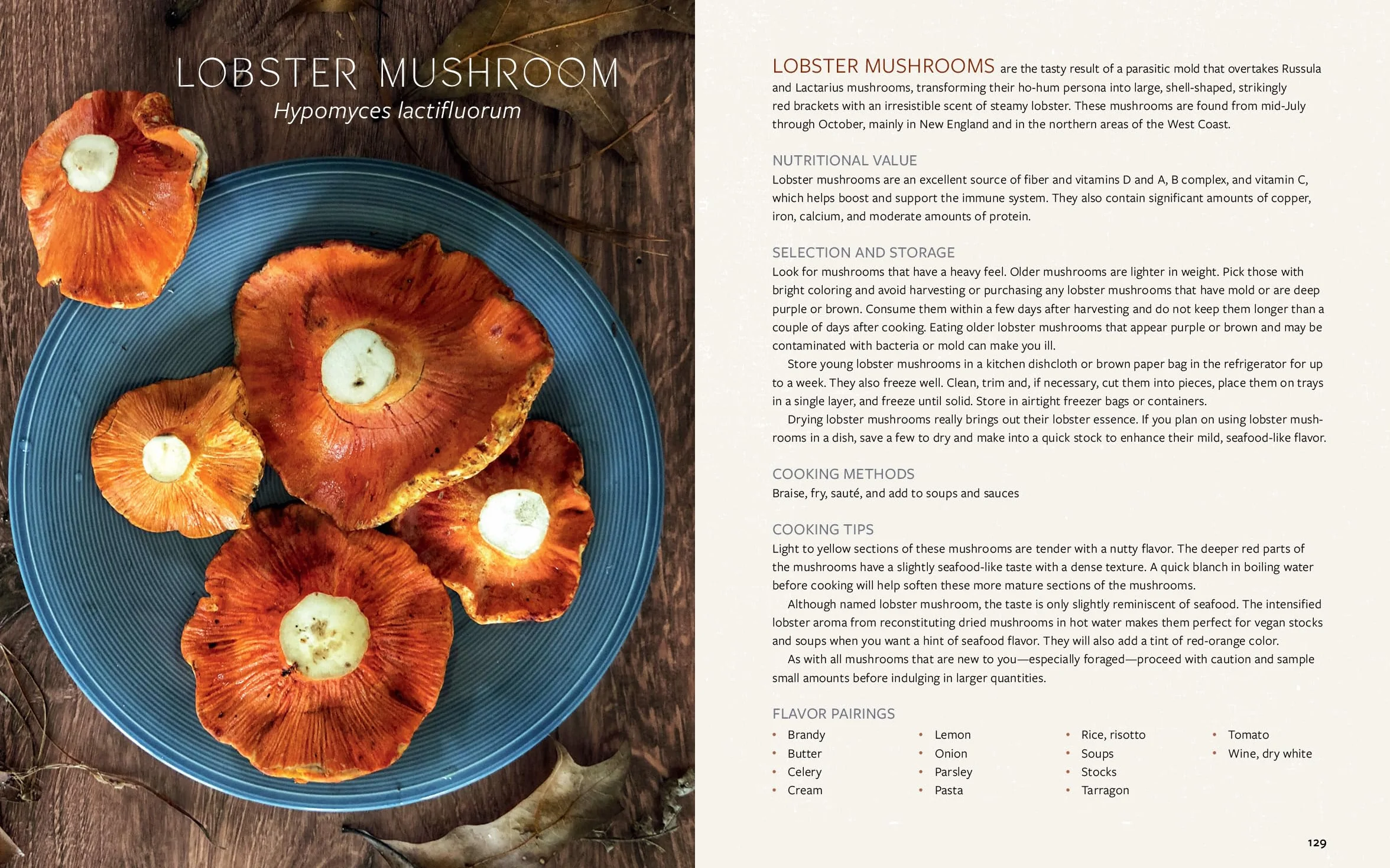 Mushroom Gastronomy: The Art of Cooking with Mushrooms