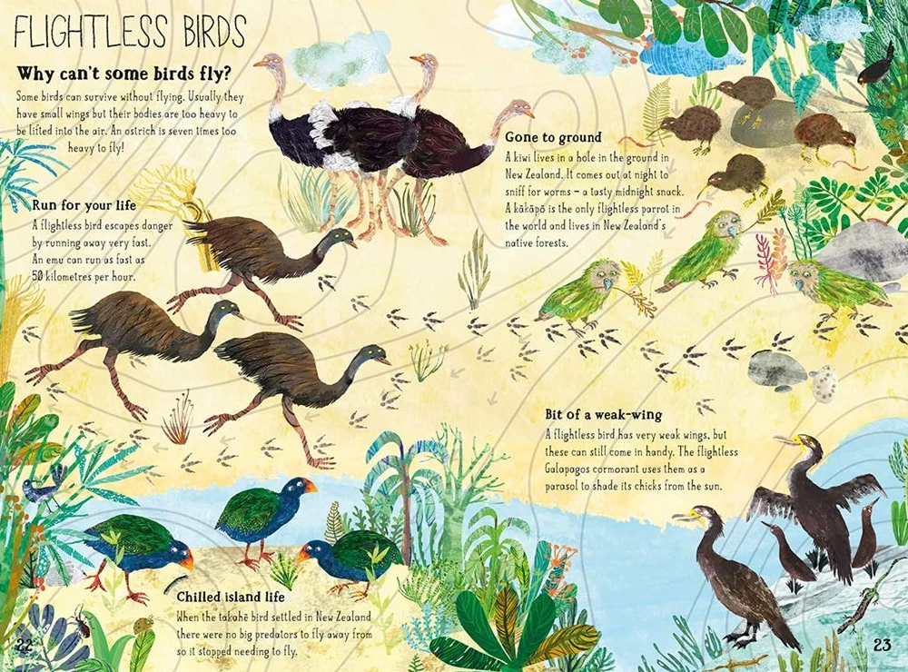 The Big Book of Birds: 0