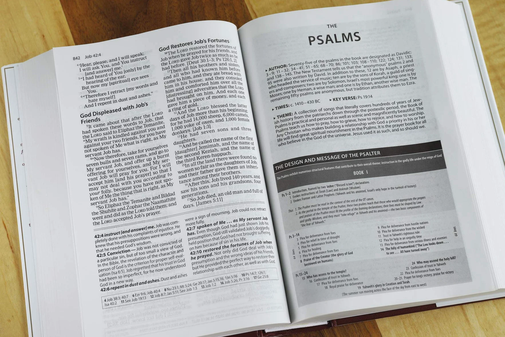 Amplified Study Bible, Hardcover