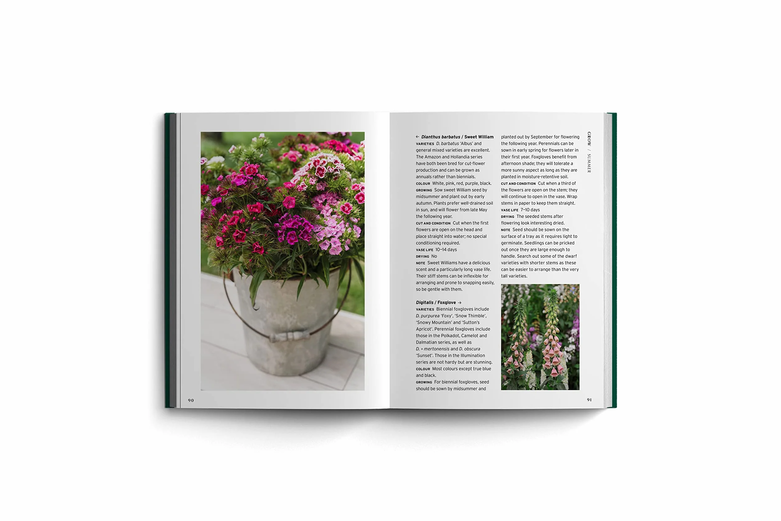 Cut Flowers (Bloom's Gardener Guide) /anglais: Bloom Gardener's Guide: Prepare the Ground, Sow Seed, Nurture, Harvest, Fill Your Vases: 3