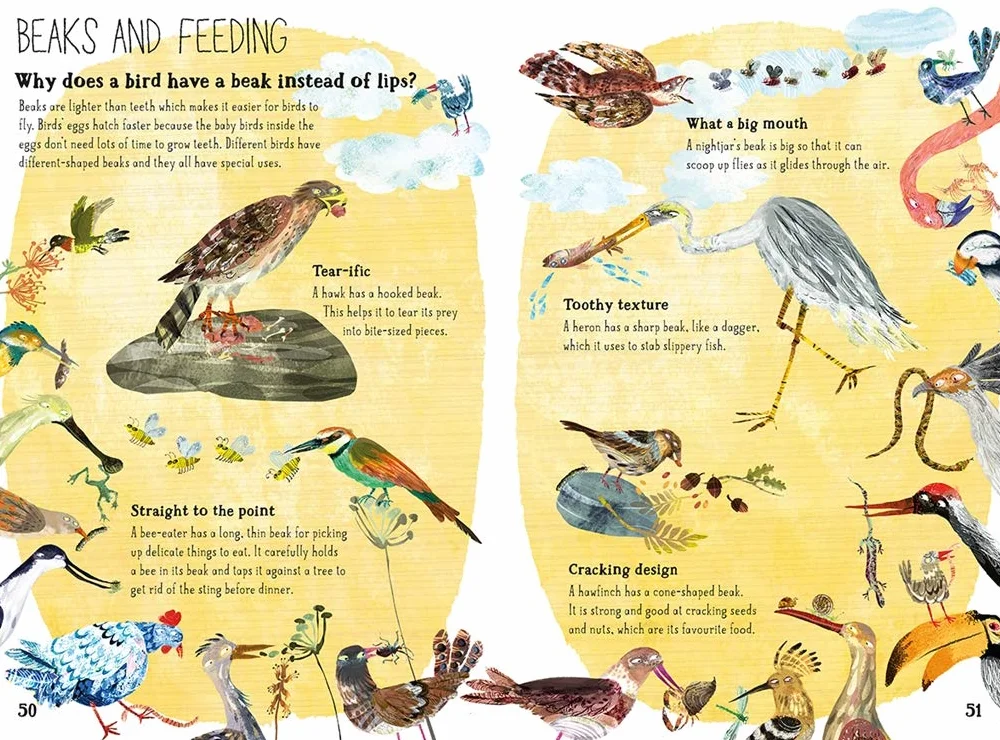 The Big Book of Birds: 0